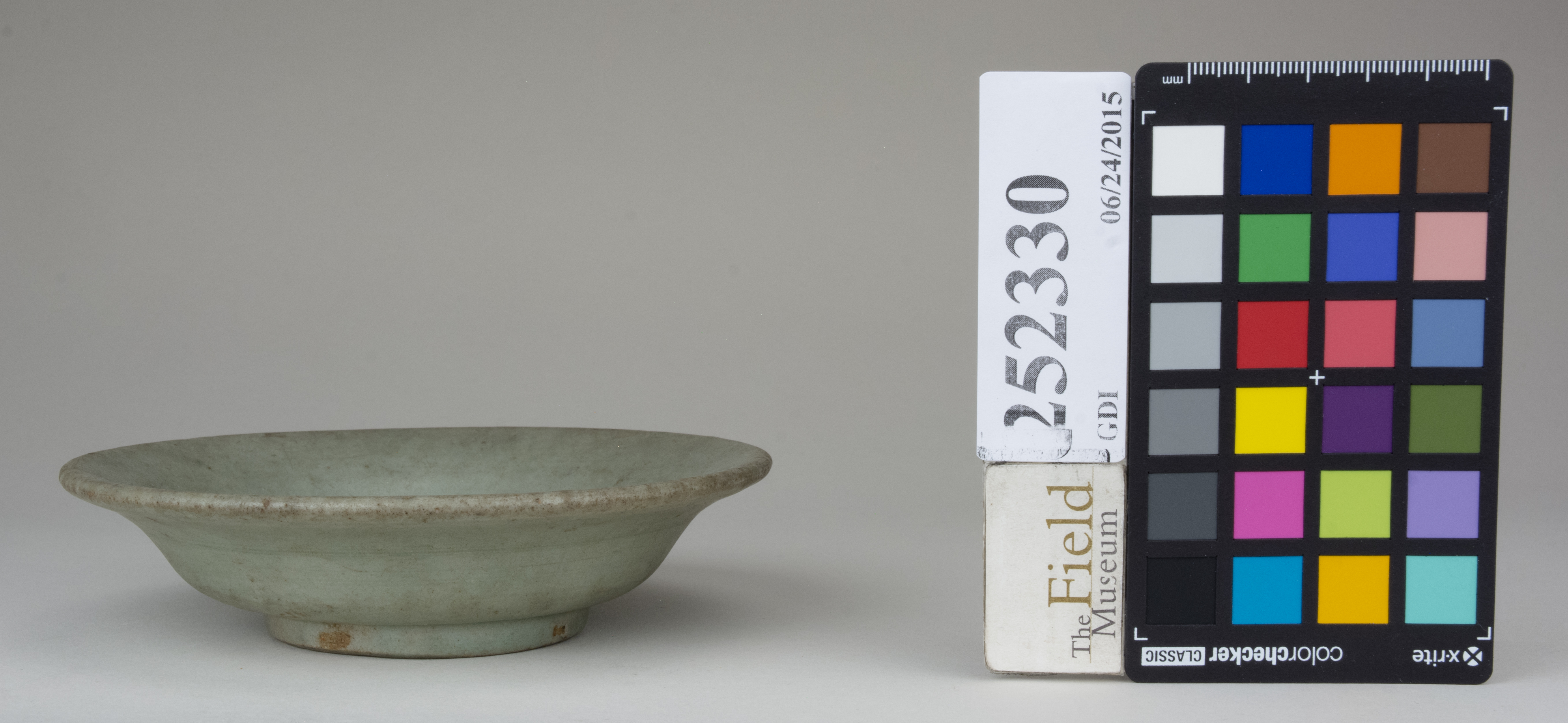 reference image, back 