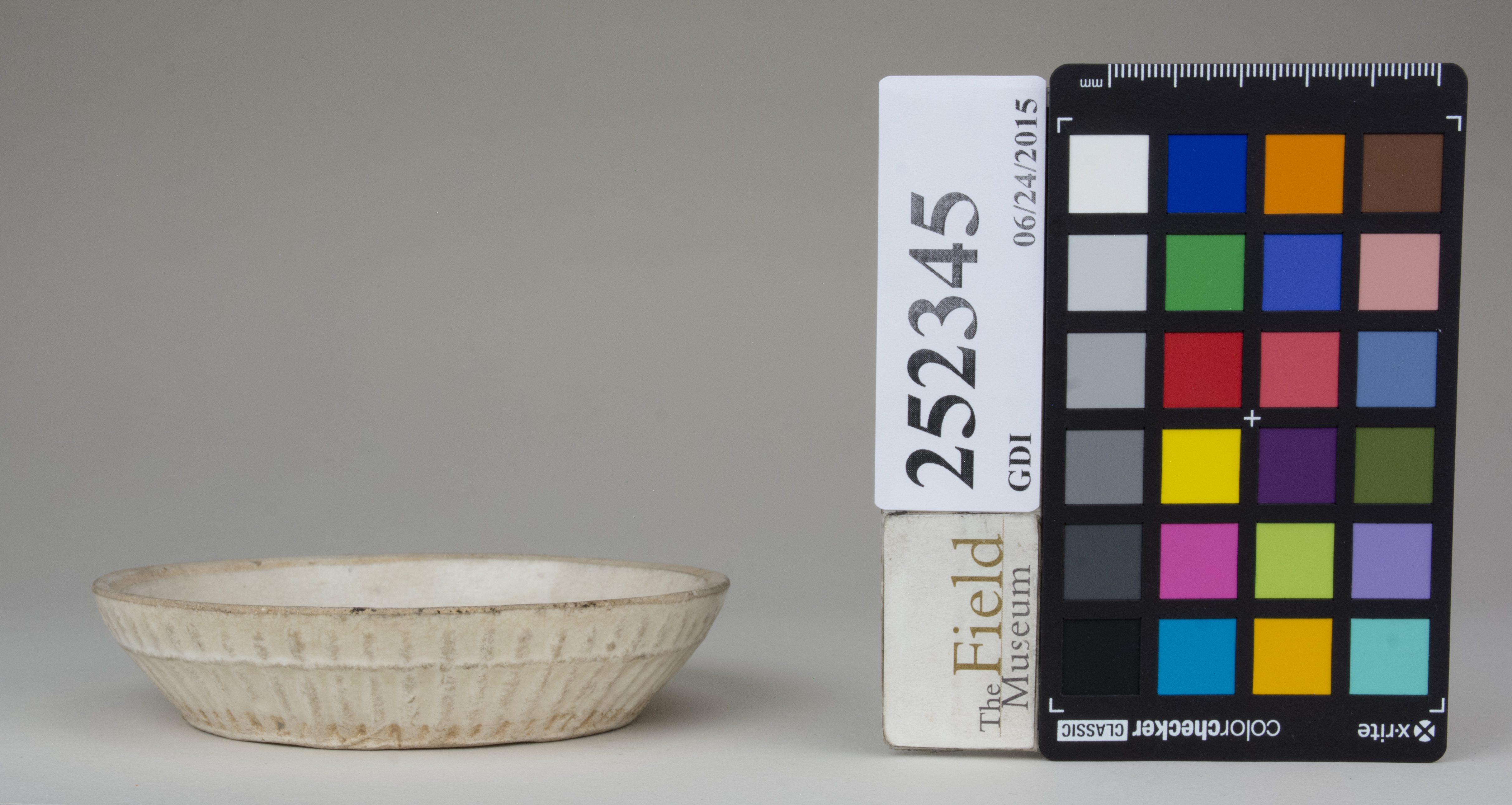 reference image, back 