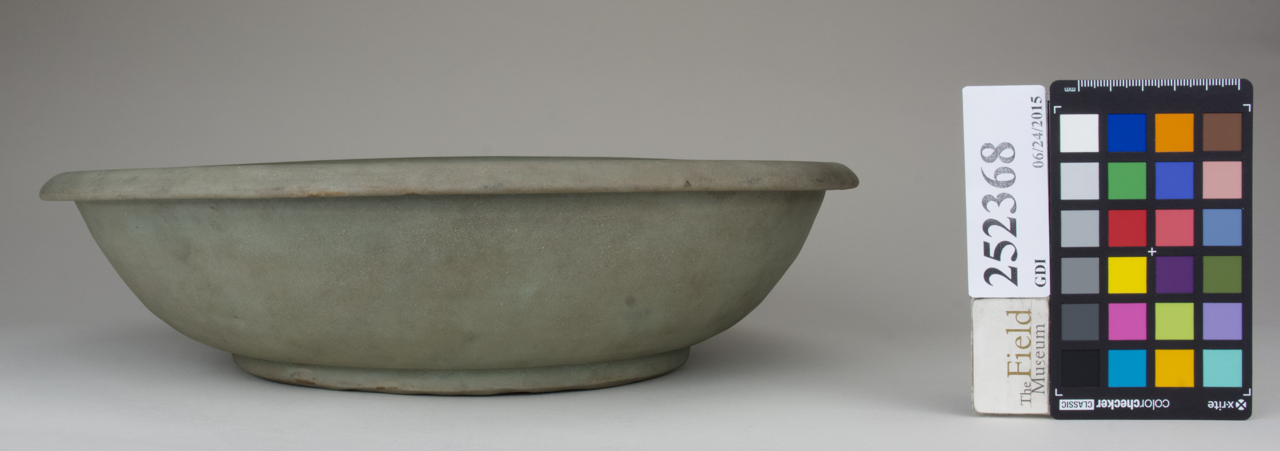 reference image, back 