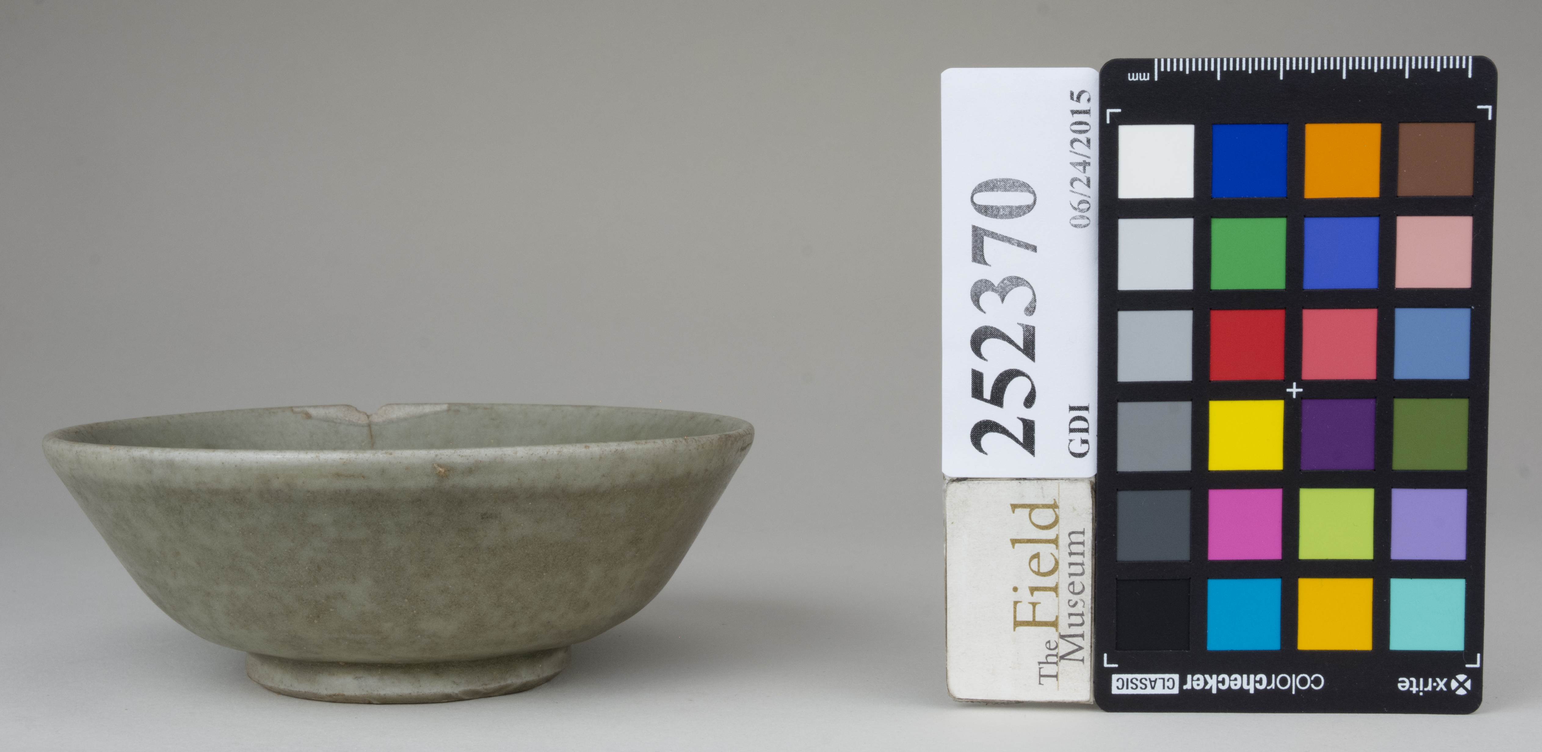 reference image, back 