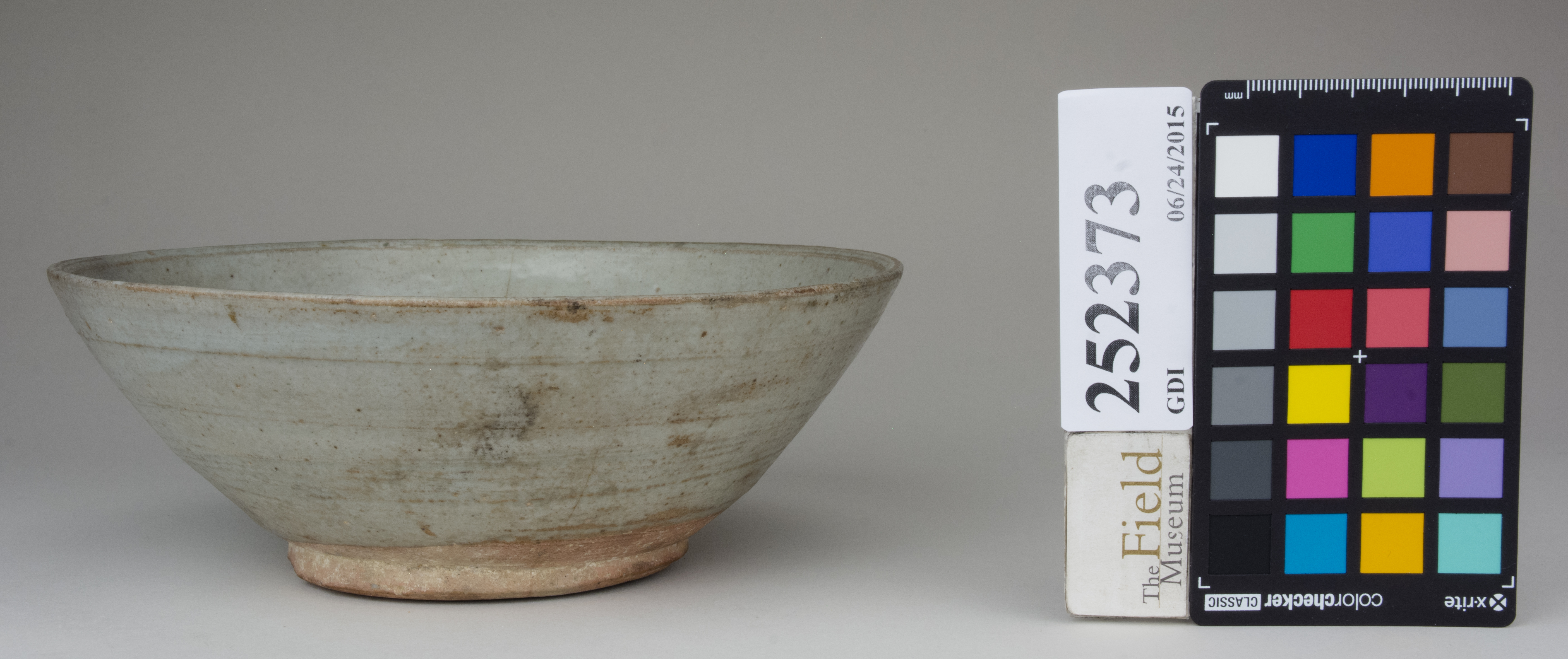 reference image, back 