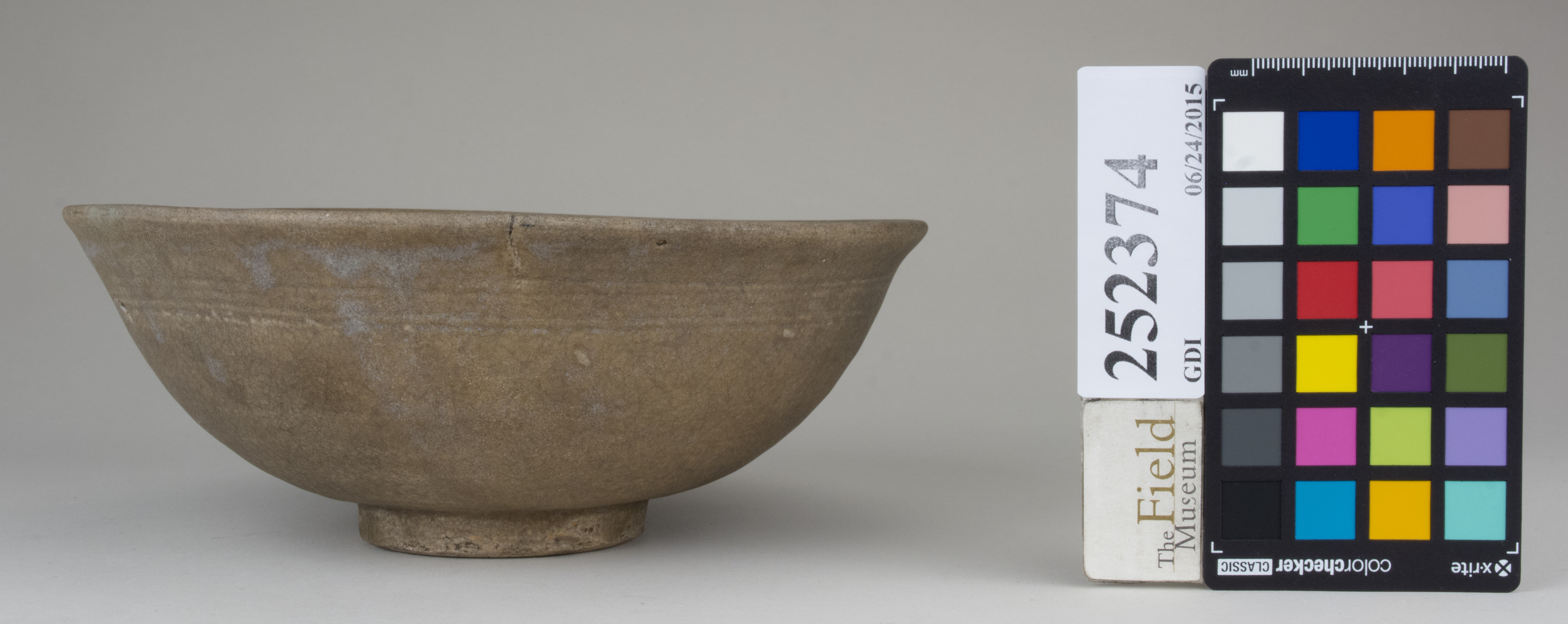 reference image, back 