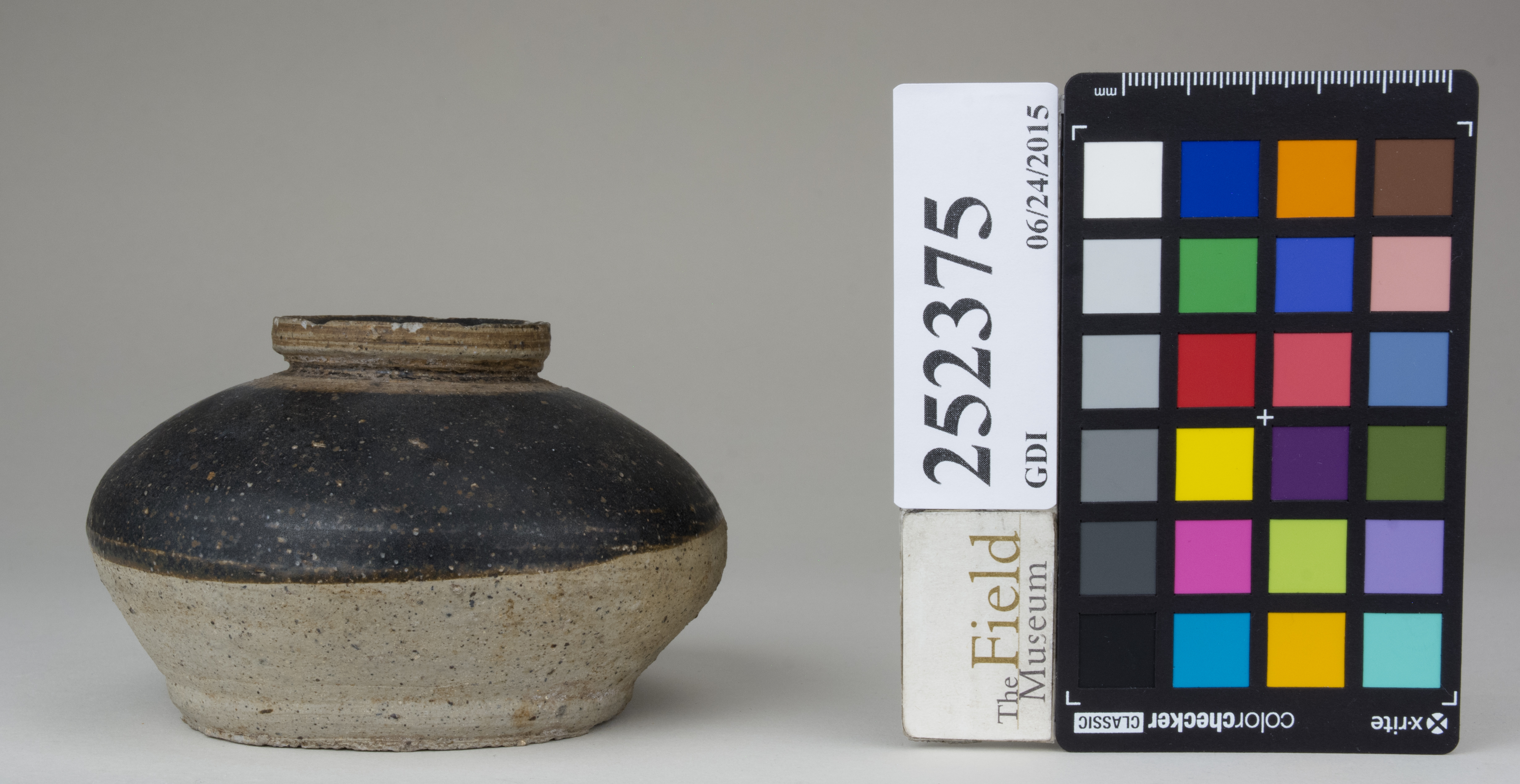 reference image, back 