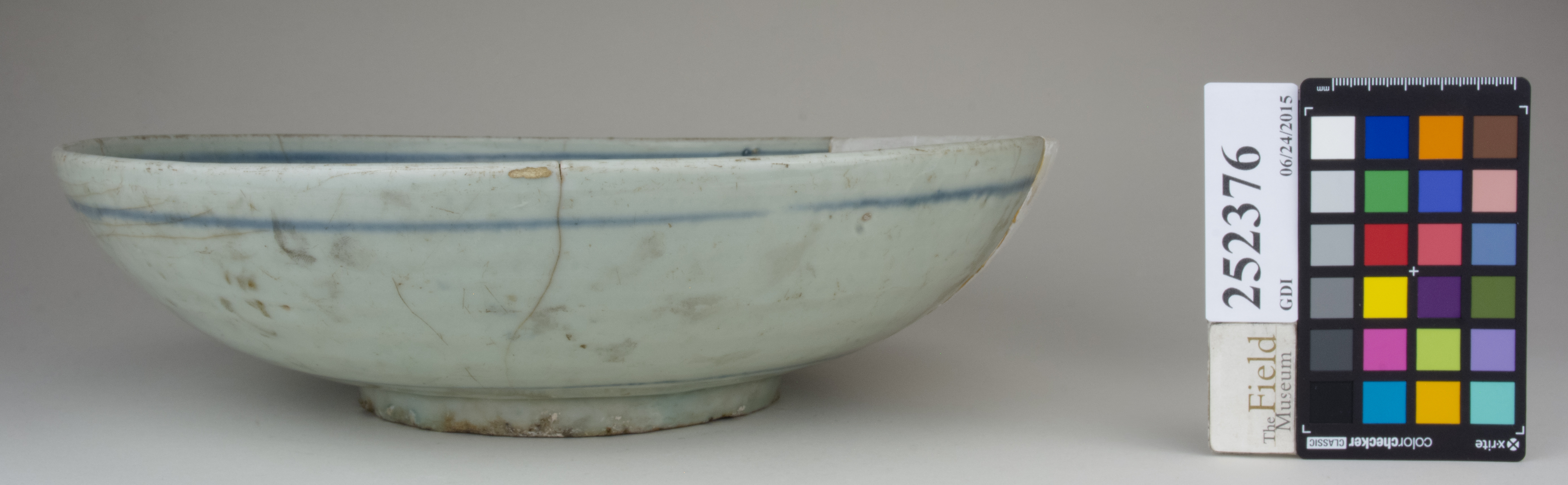 reference image, back 