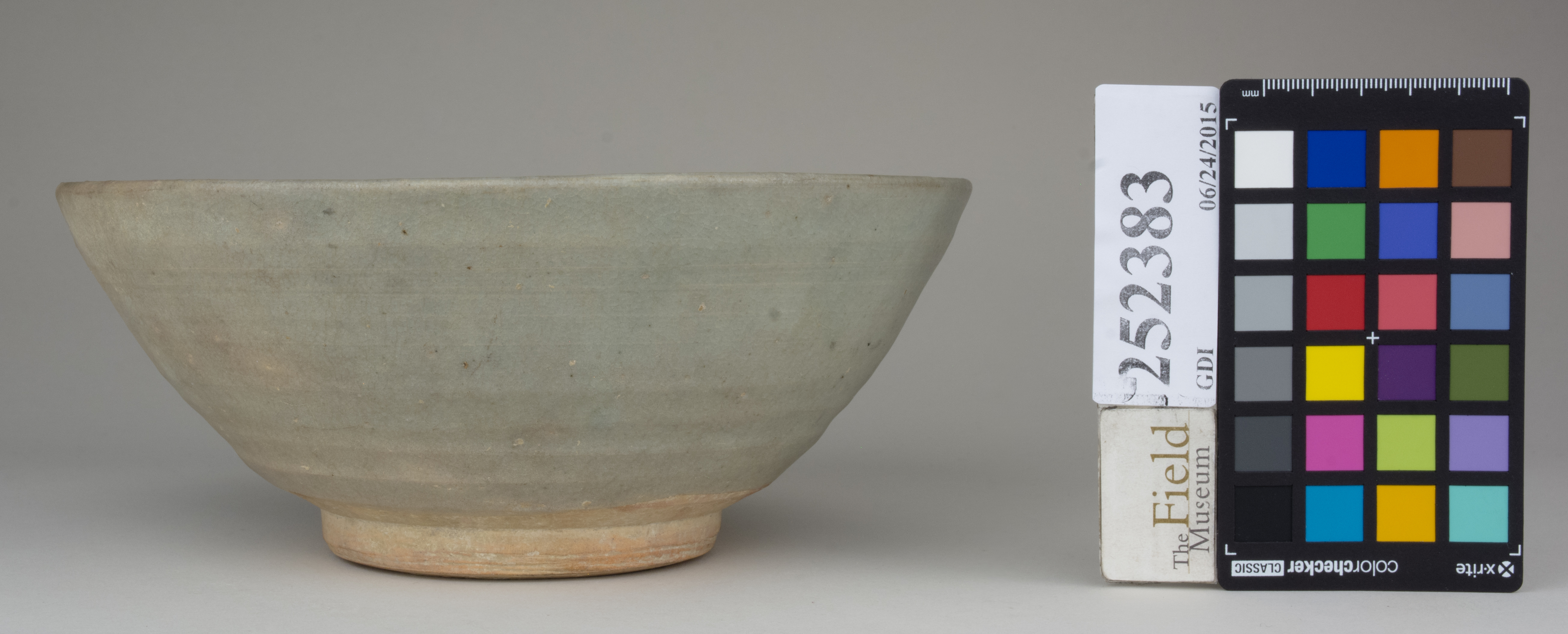 reference image, back 