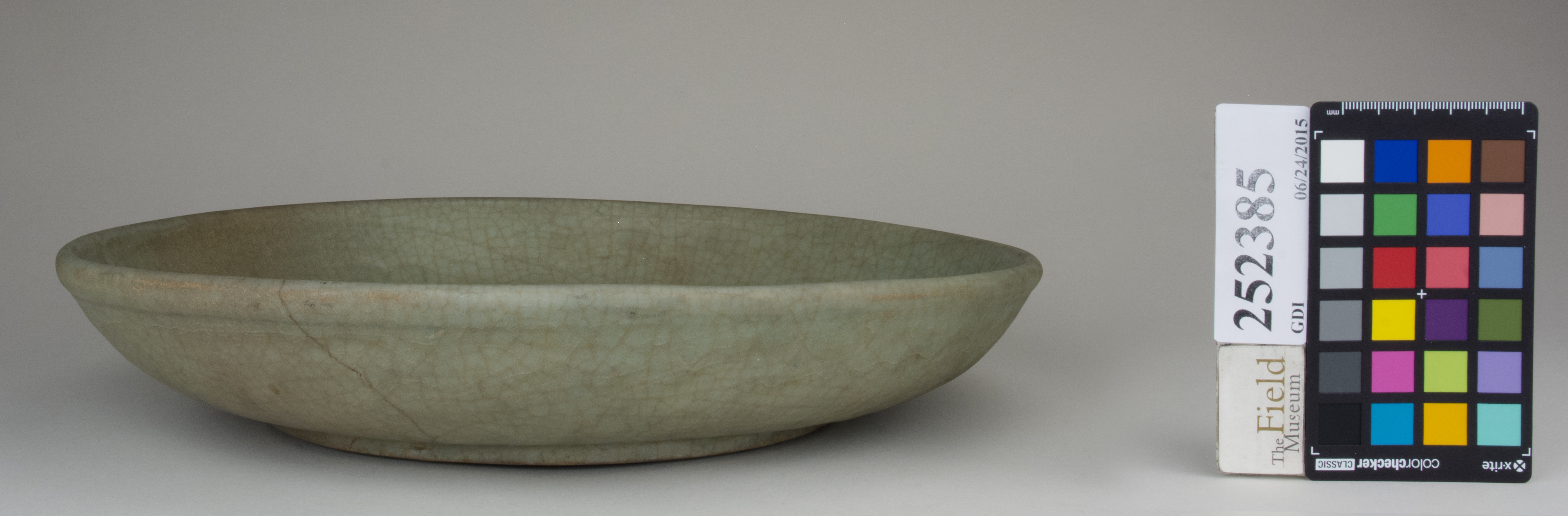 reference image, back 