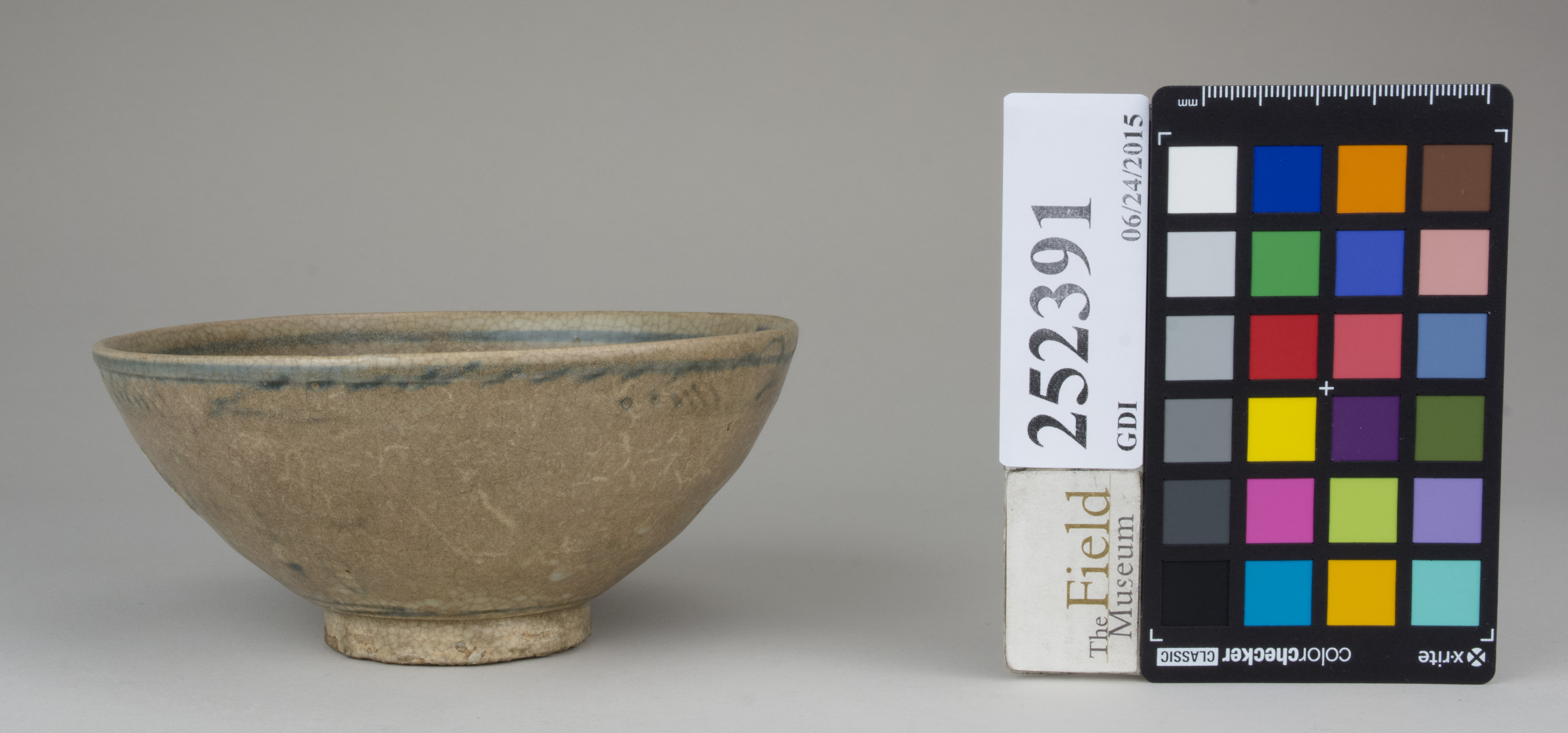 reference image, back 