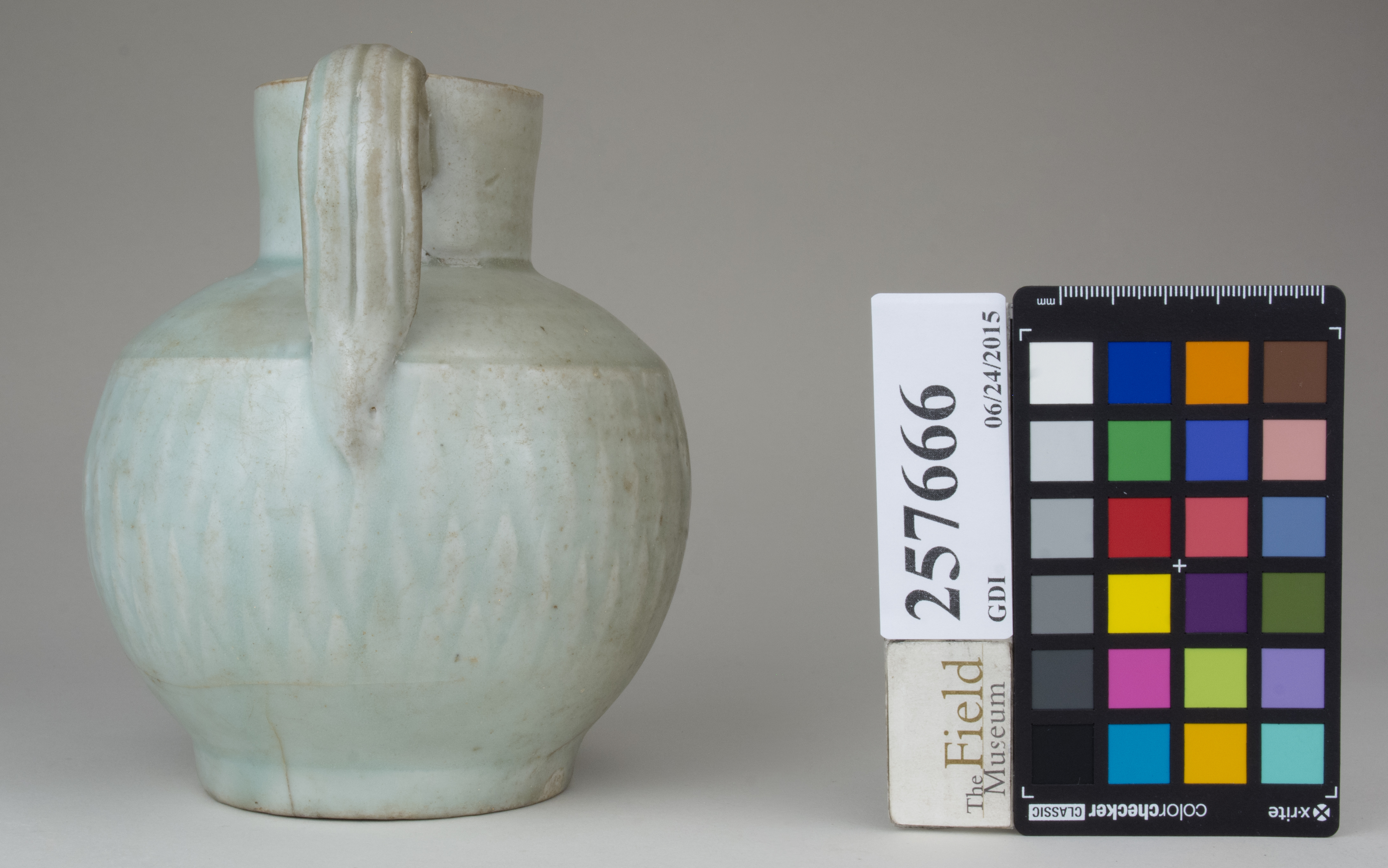 reference image, back 