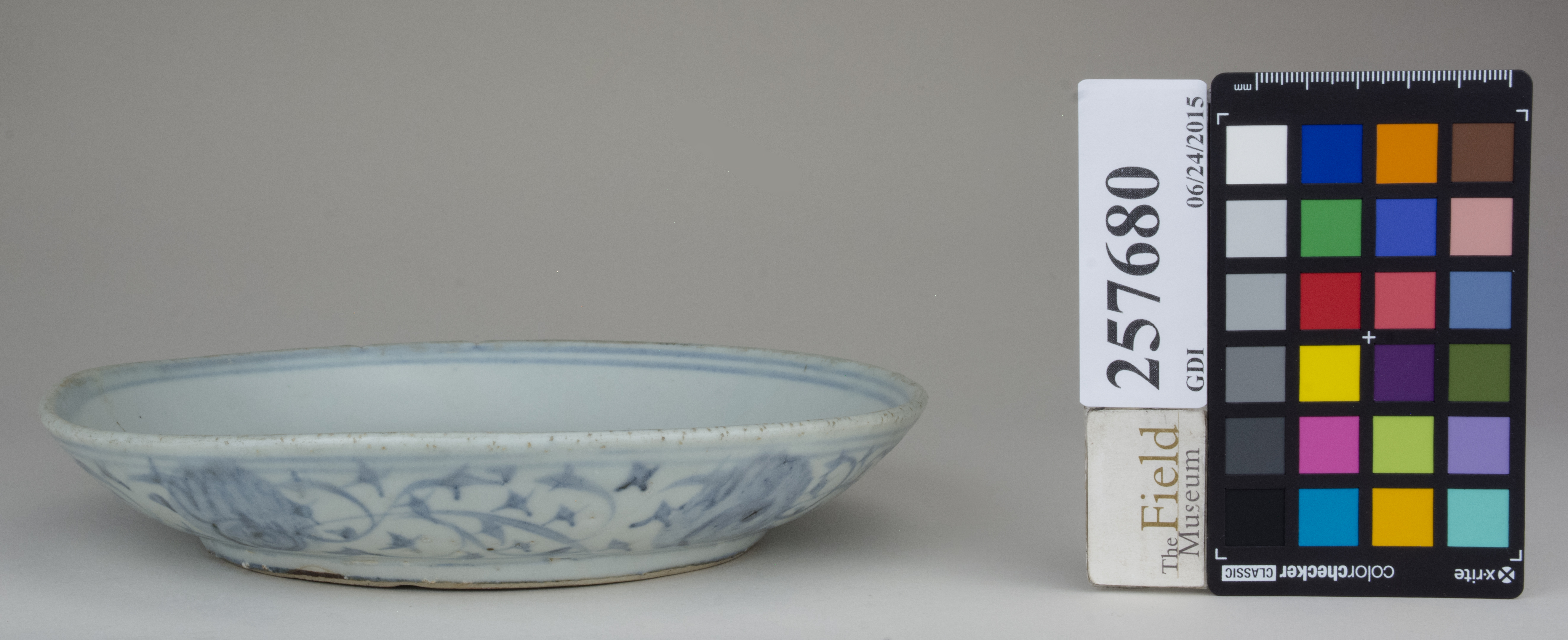 reference image, back 