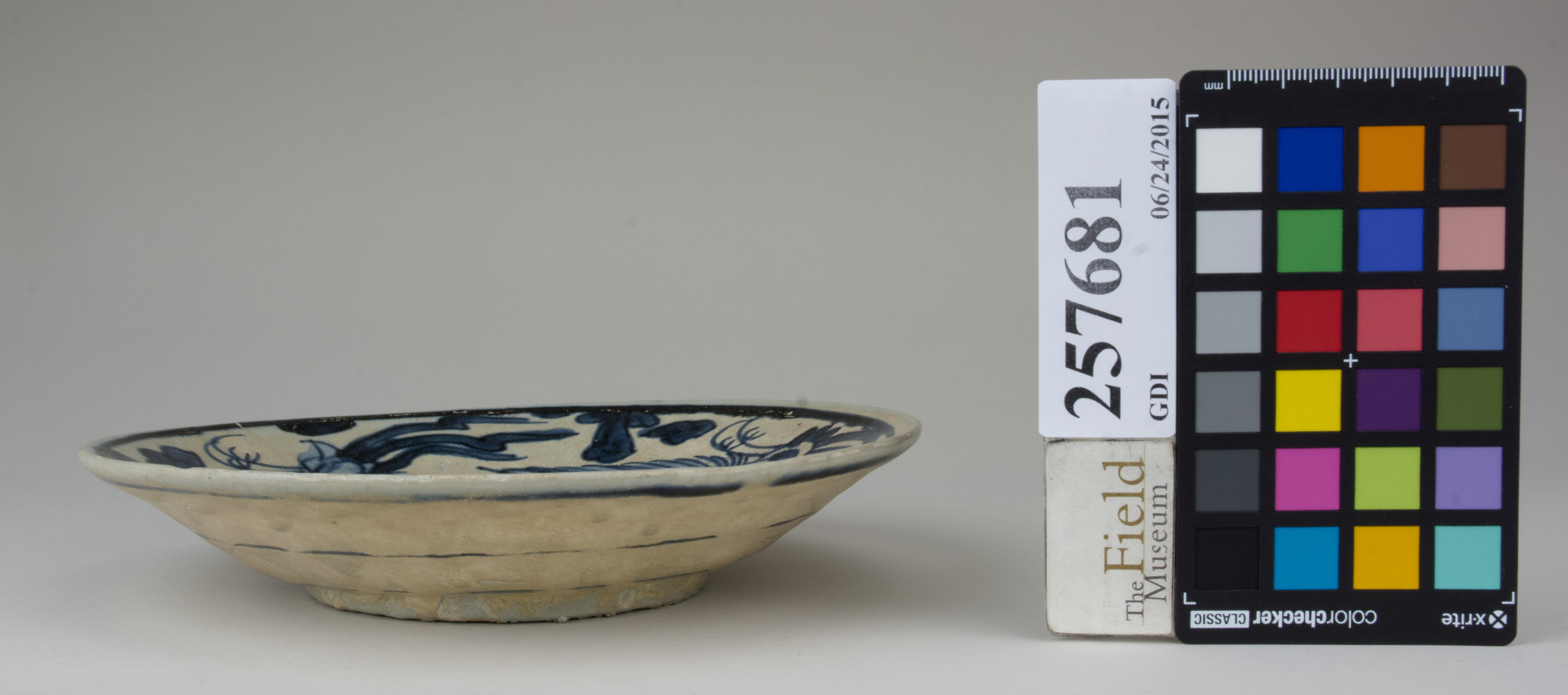 reference image, back 