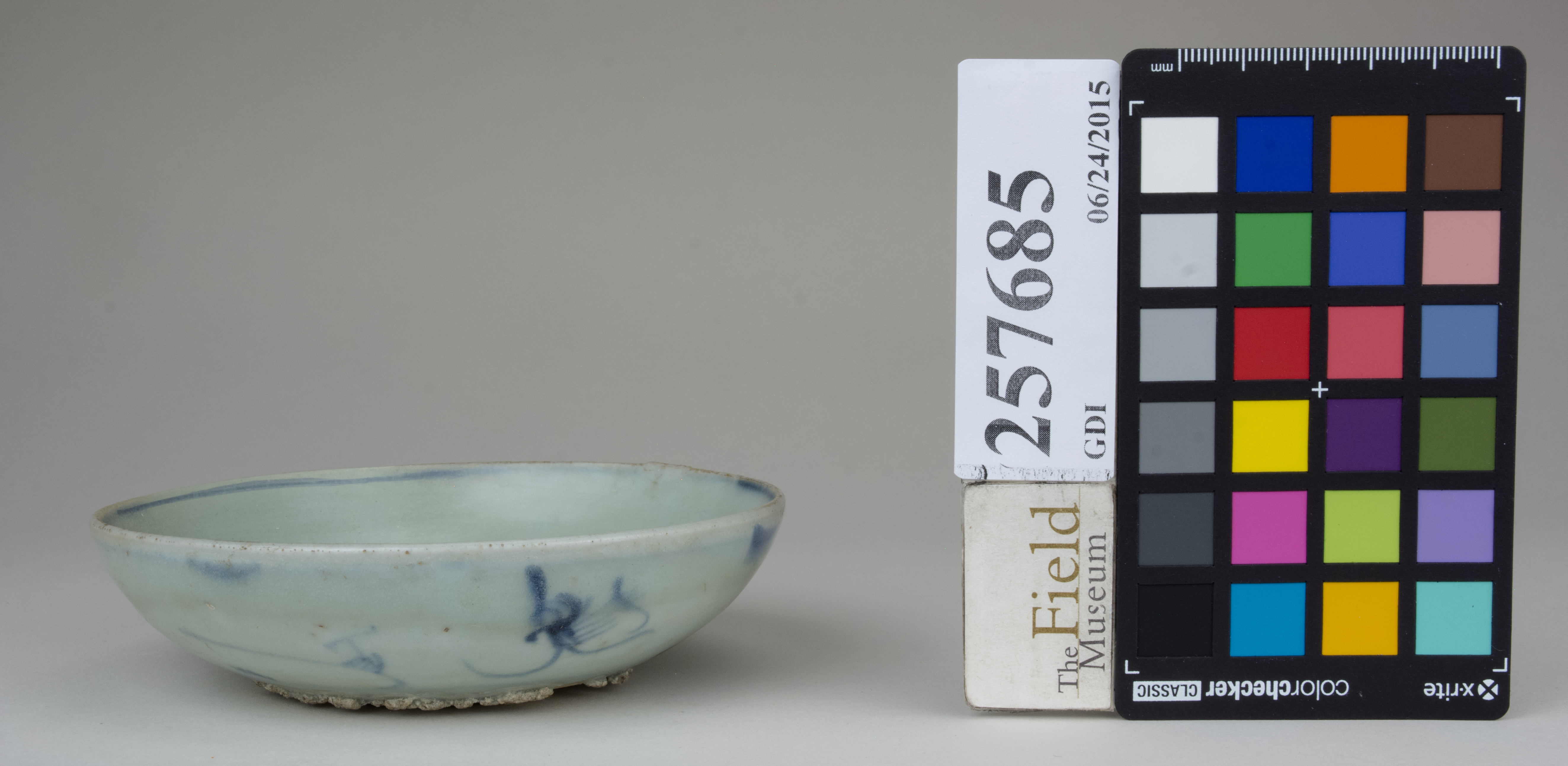 reference image, back 