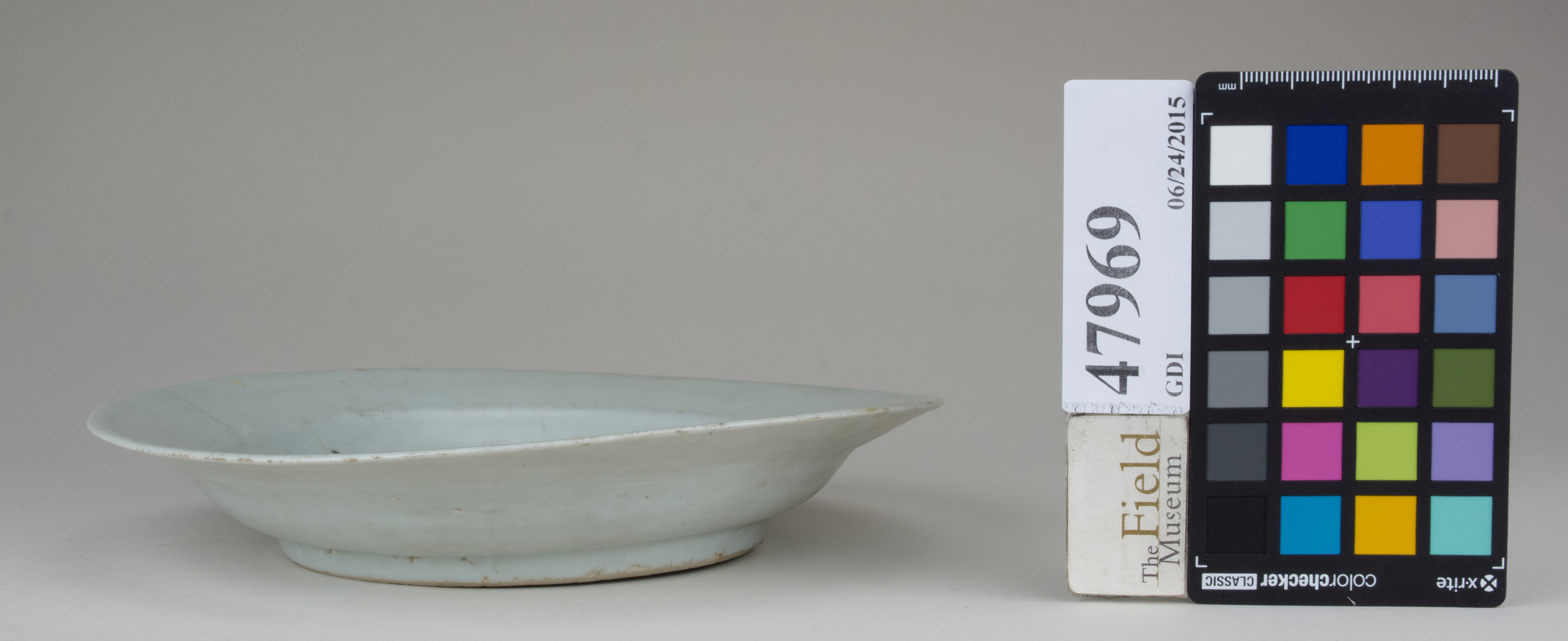 reference image, back 