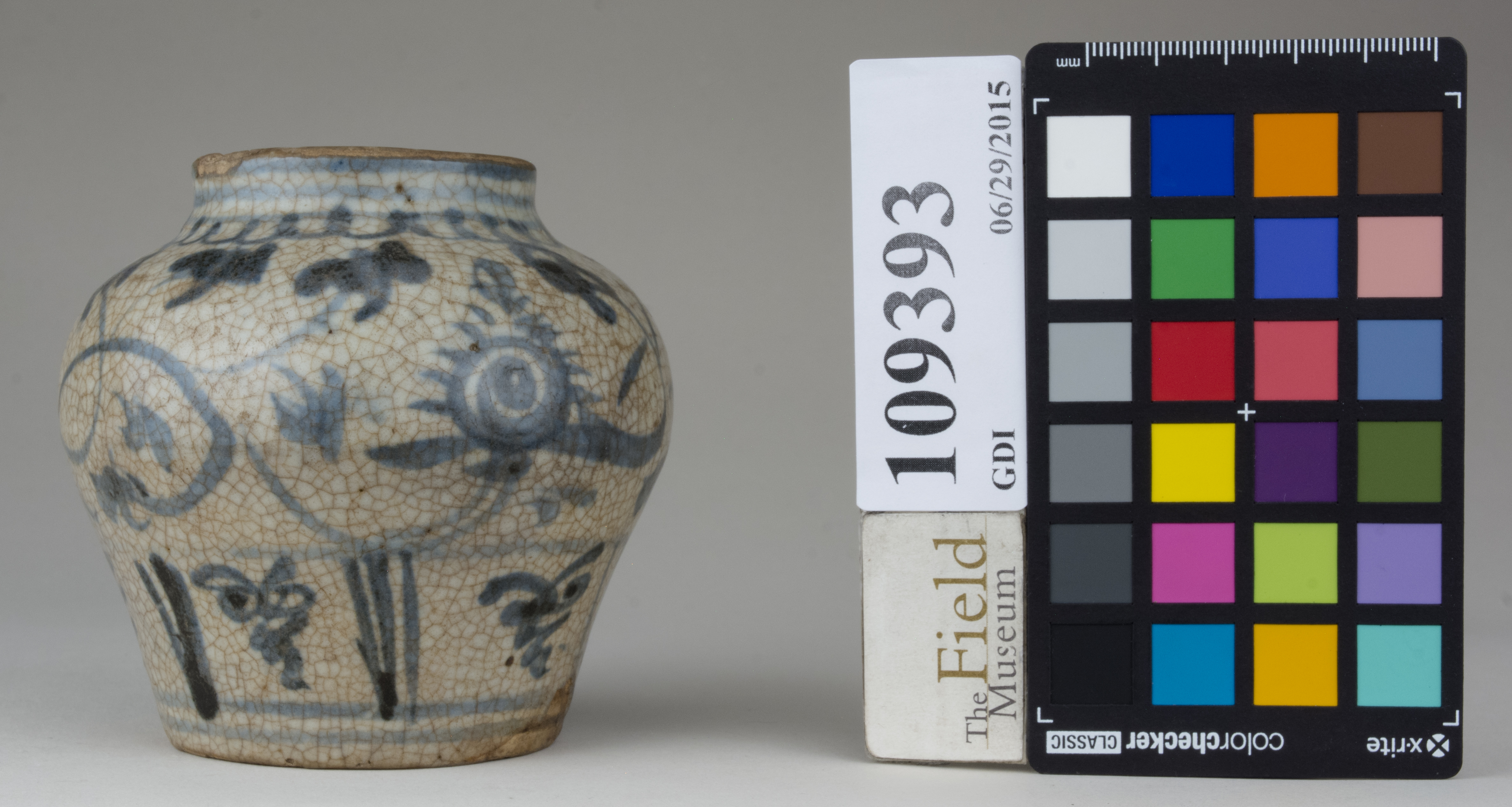 reference image, back 