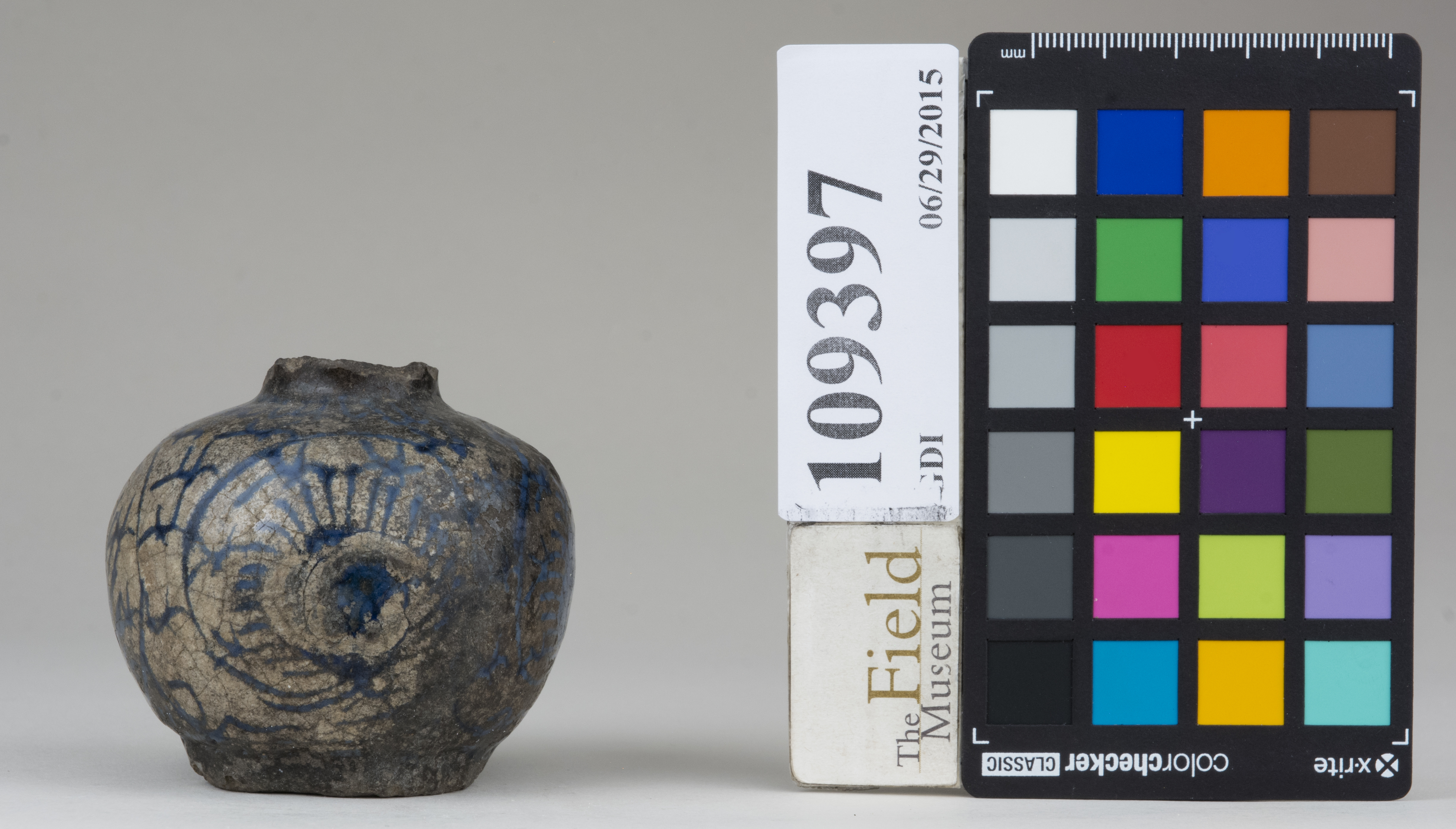 reference image, back 