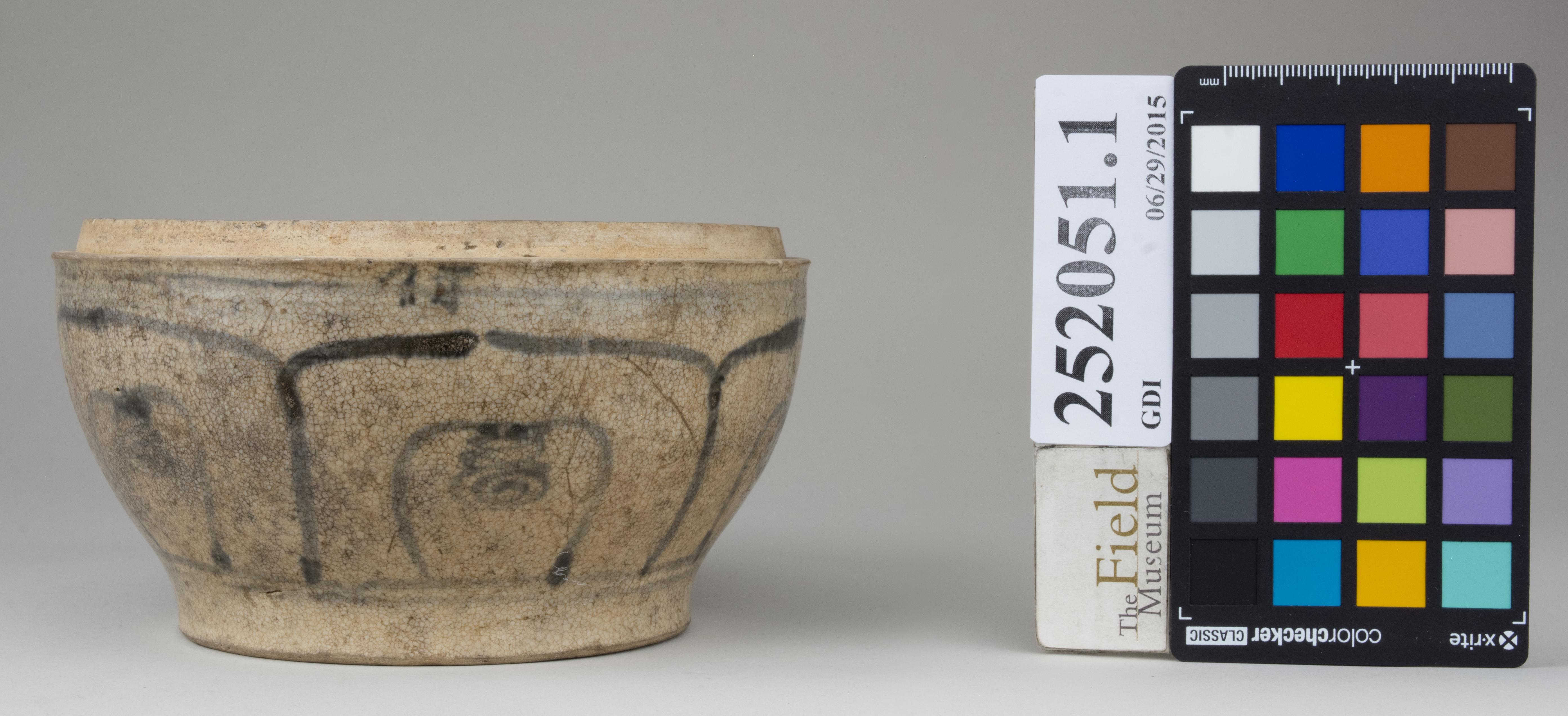 reference image, back 