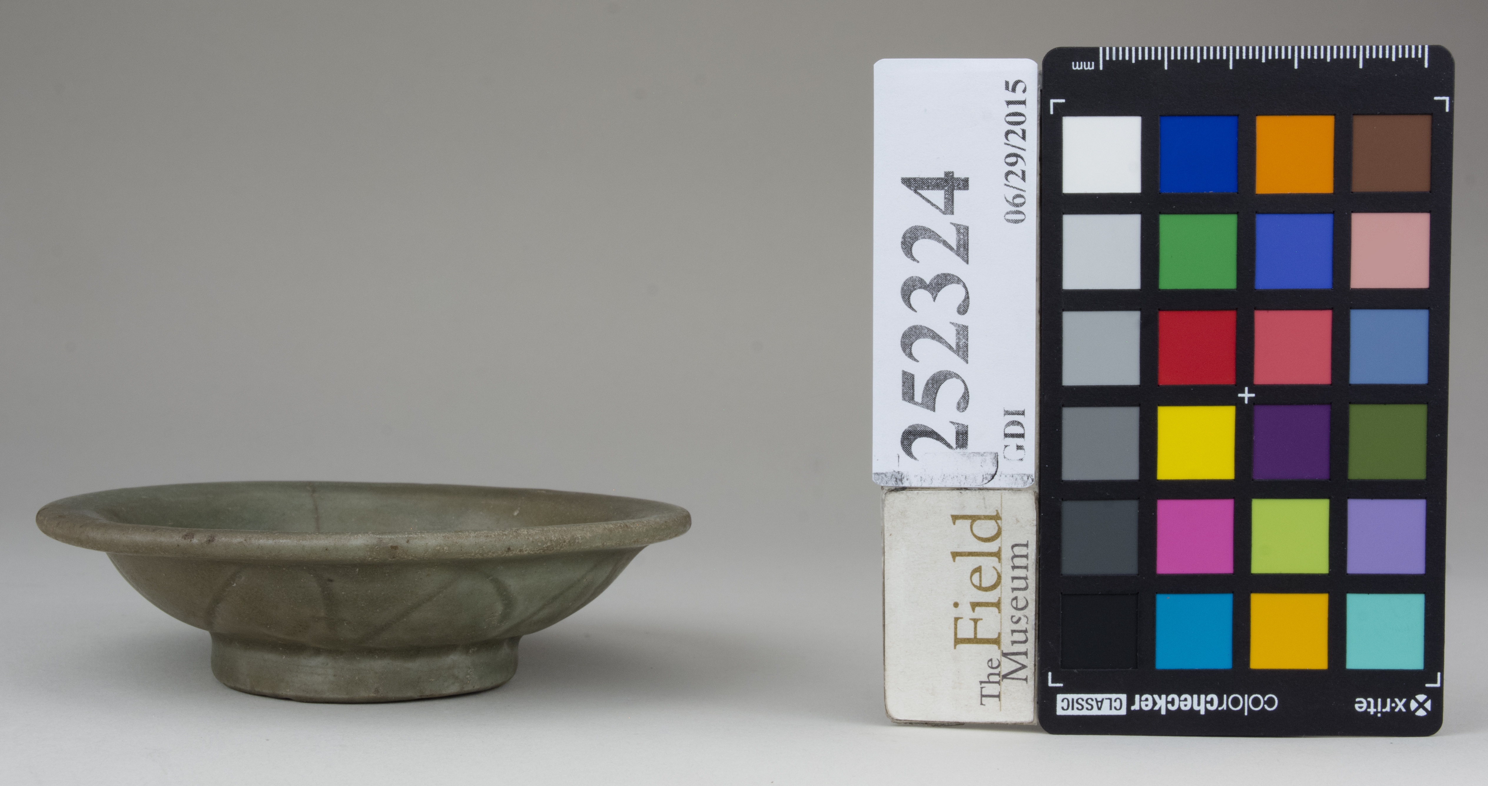 reference image, back 