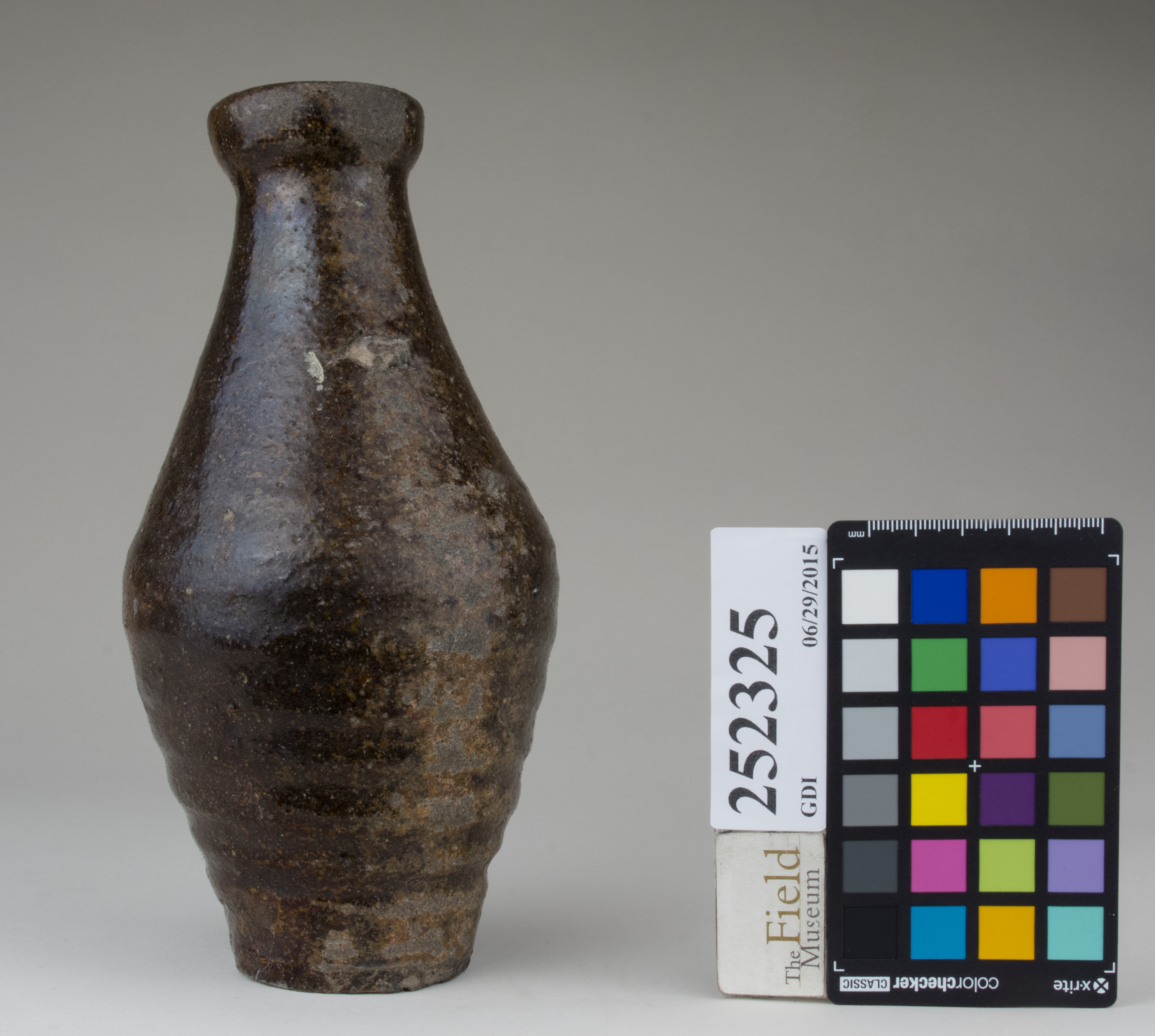 reference image, back 