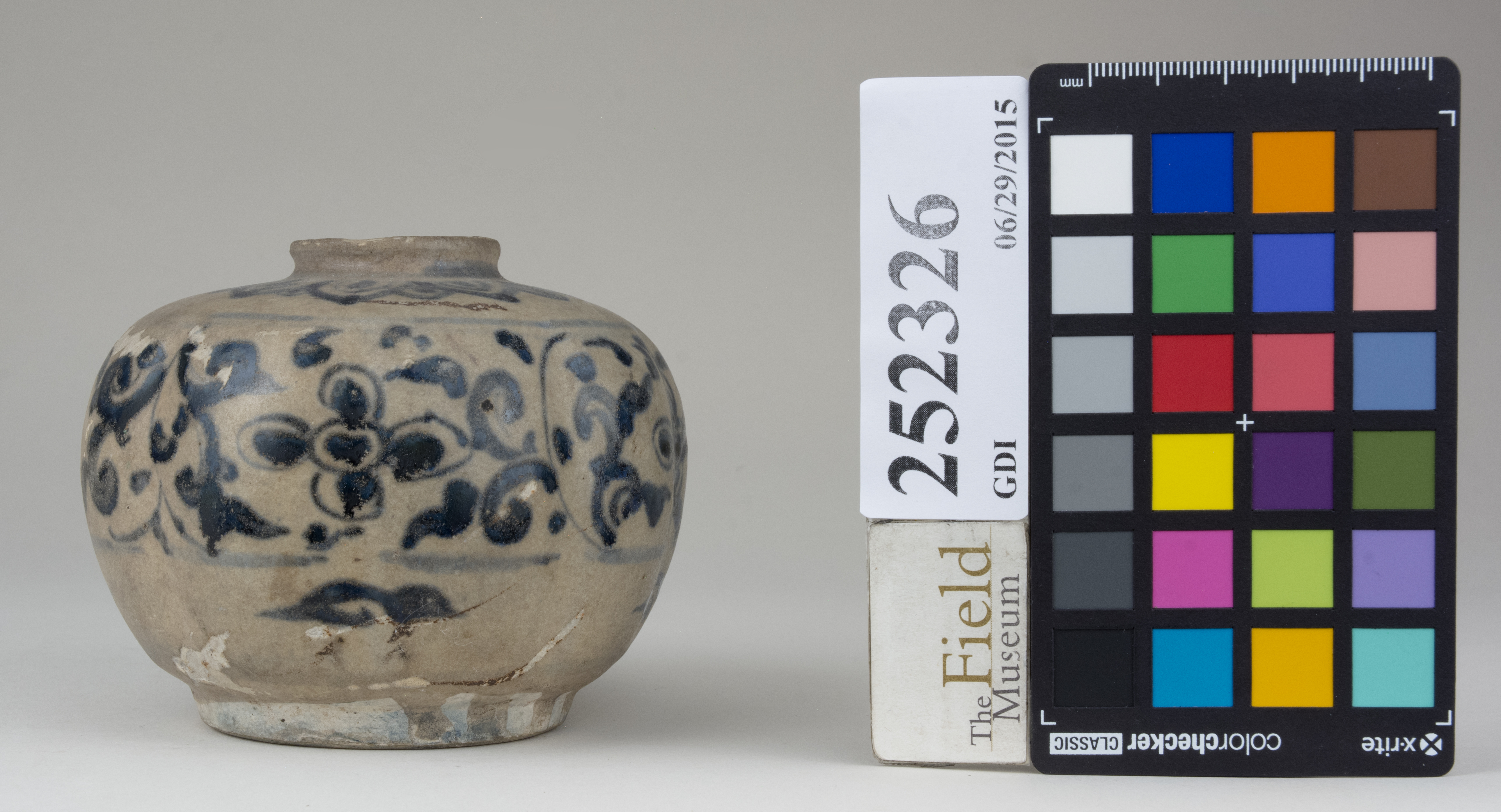 reference image, back 