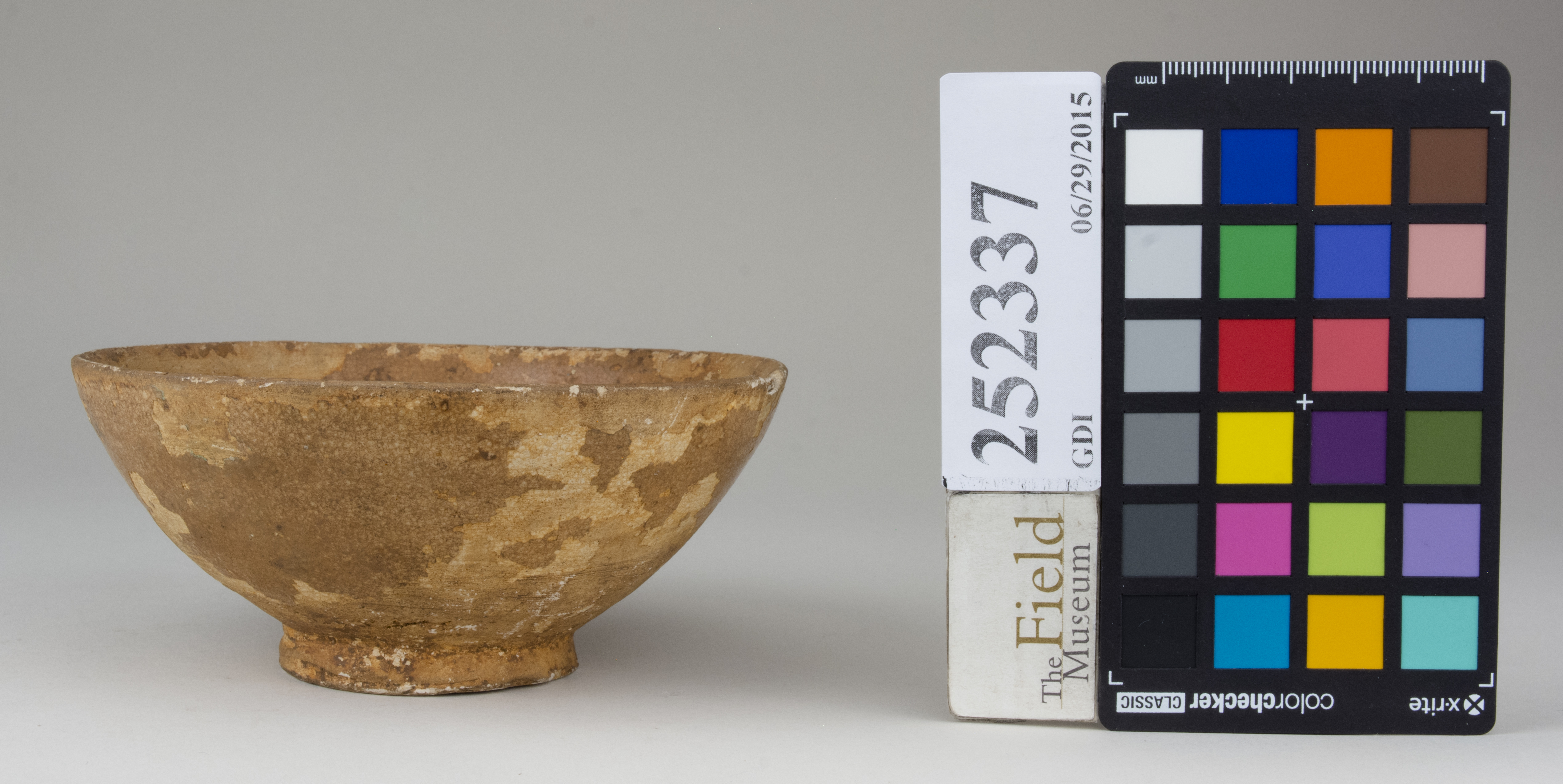 reference image, back 