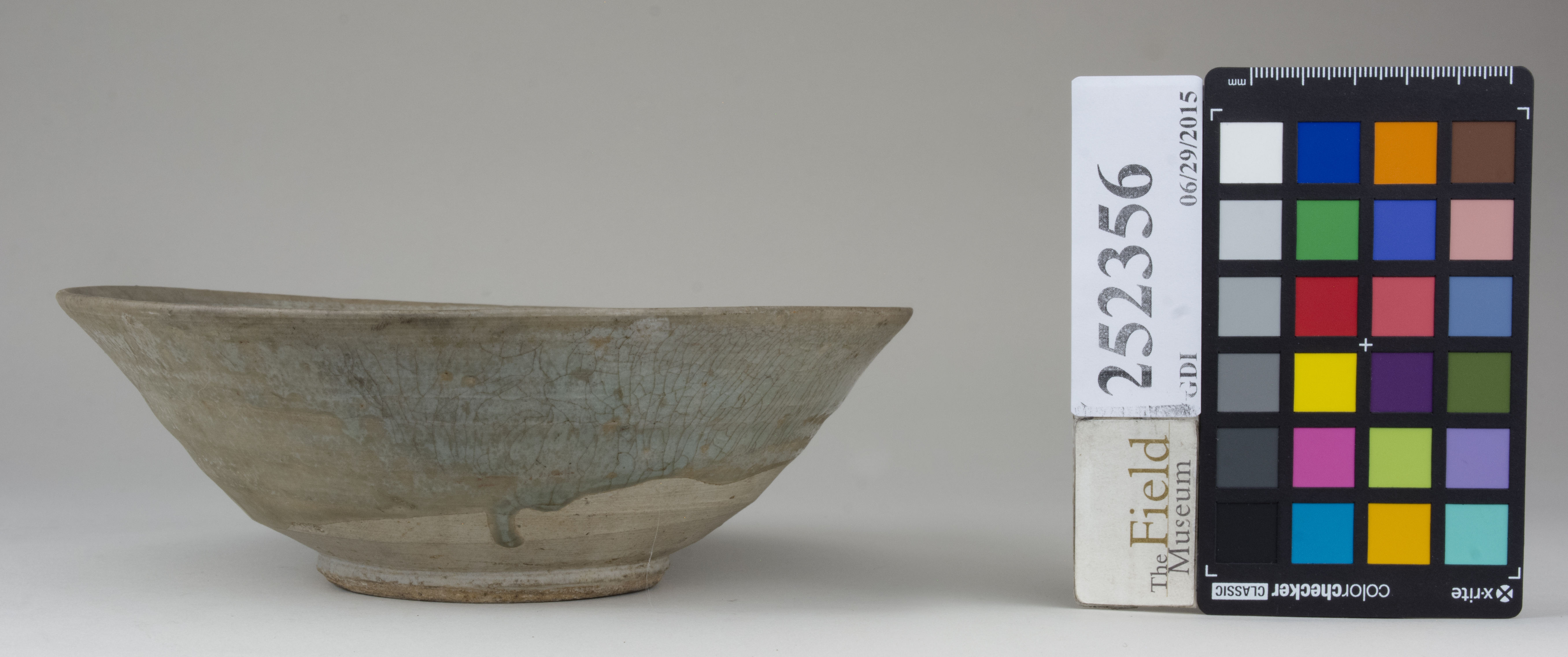 reference image, back 