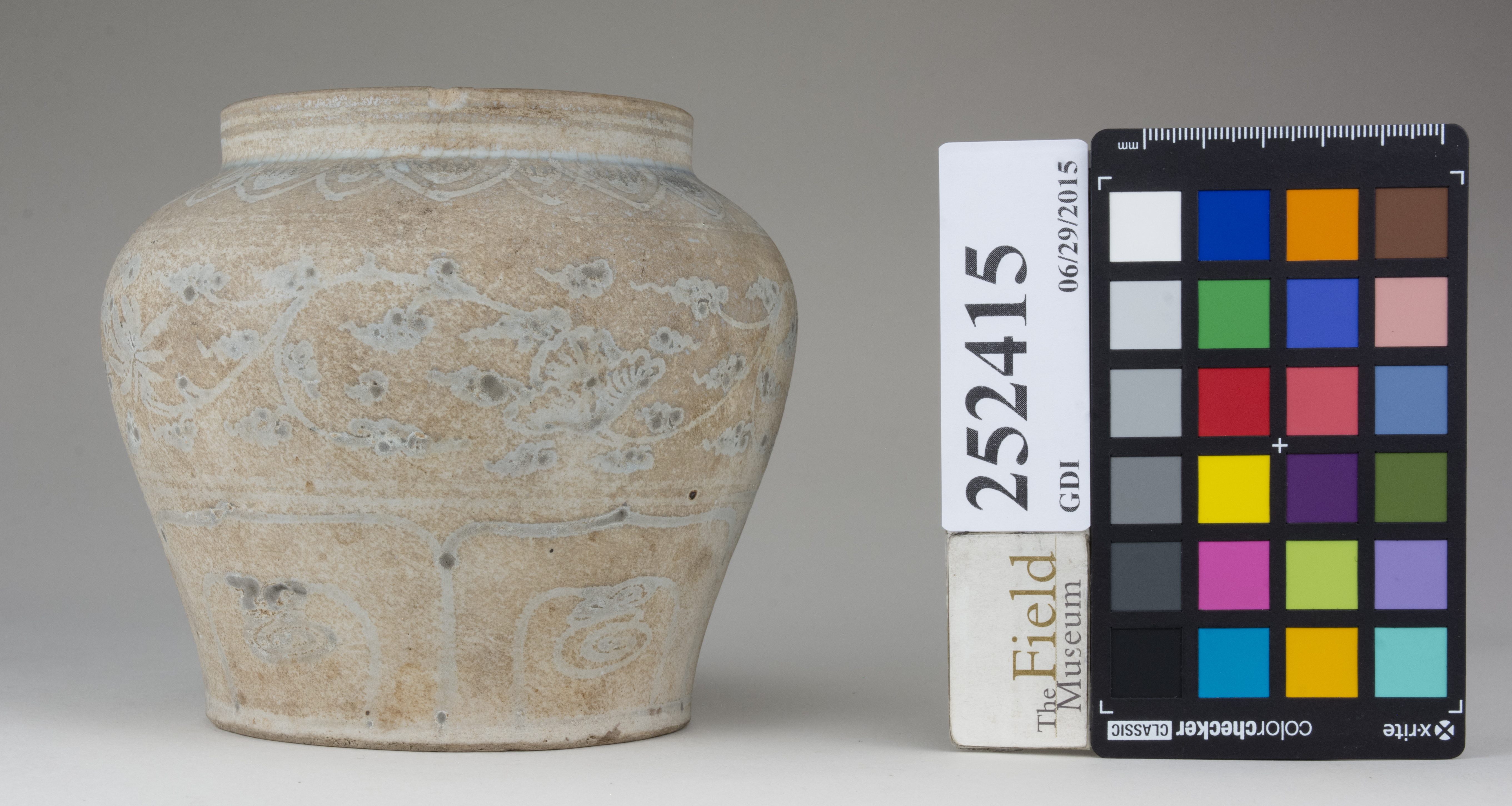 reference image, back 