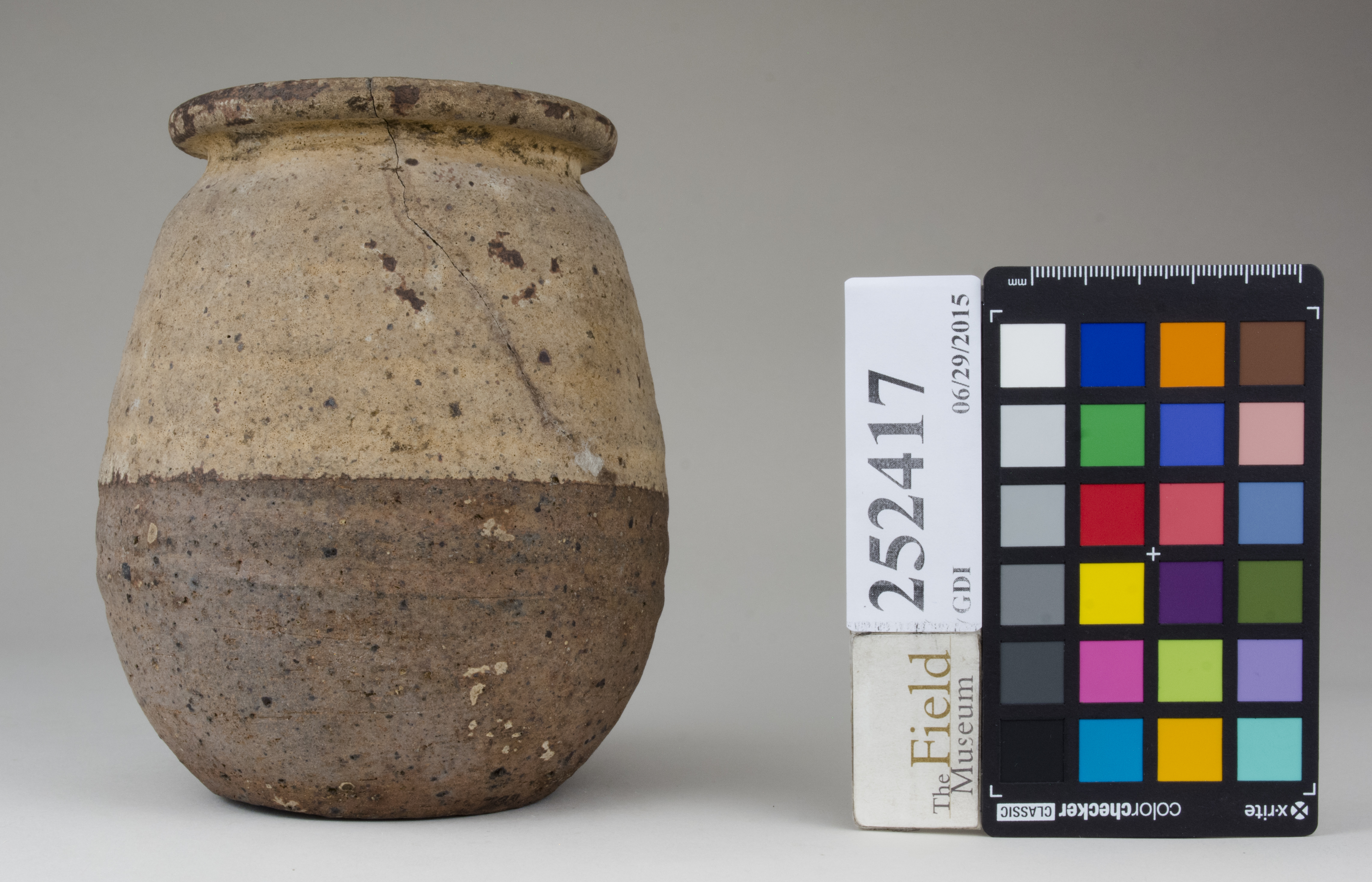 reference image, back 