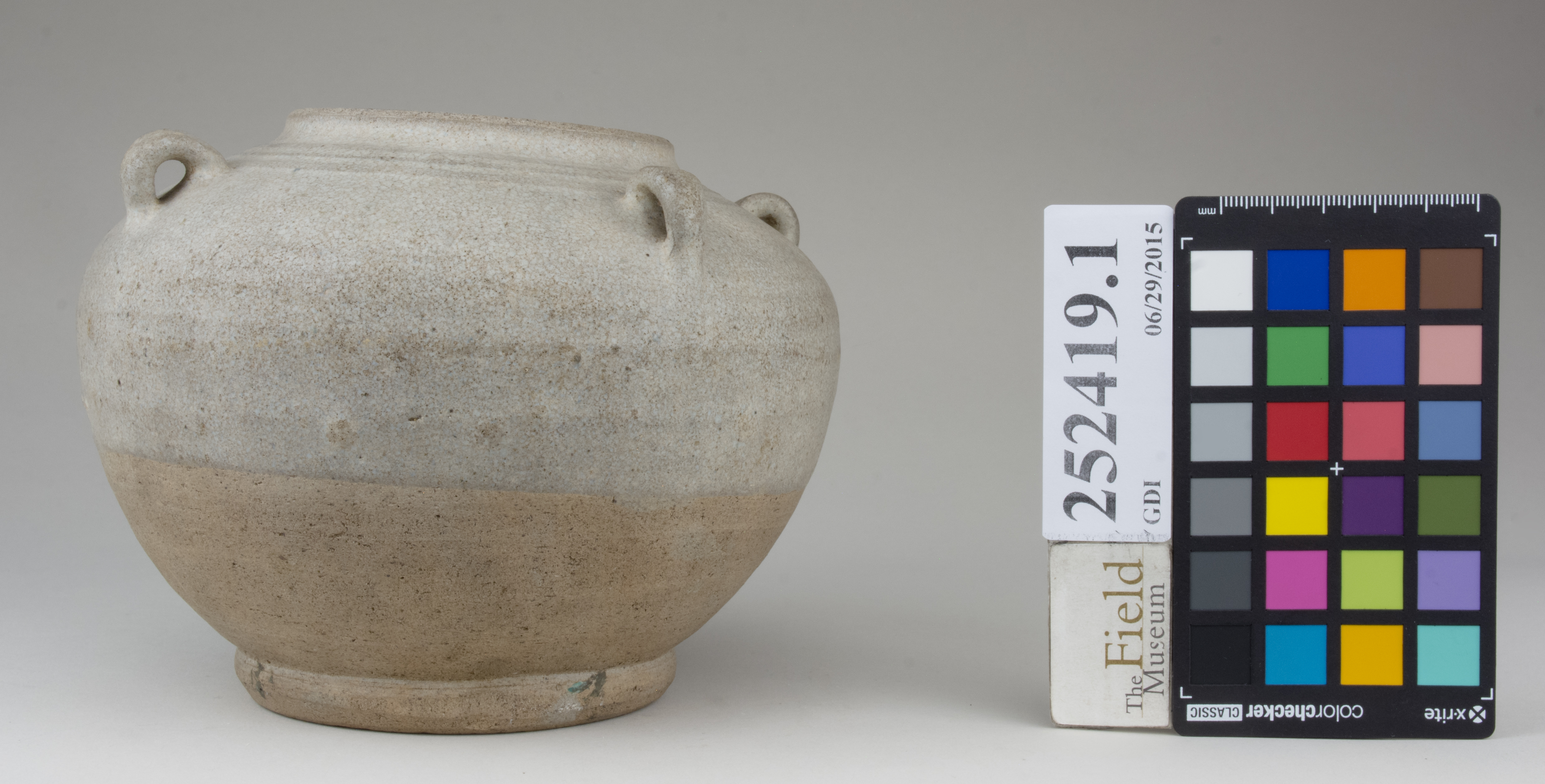 reference image, back 