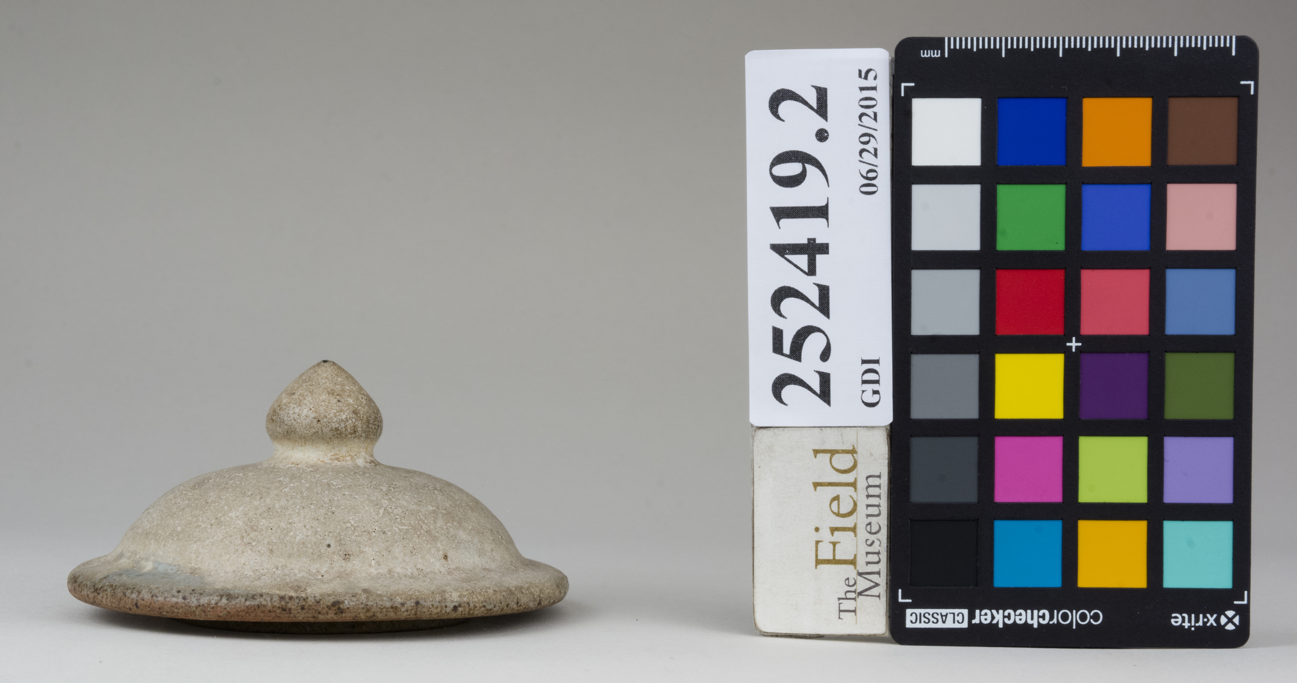 reference image, back 