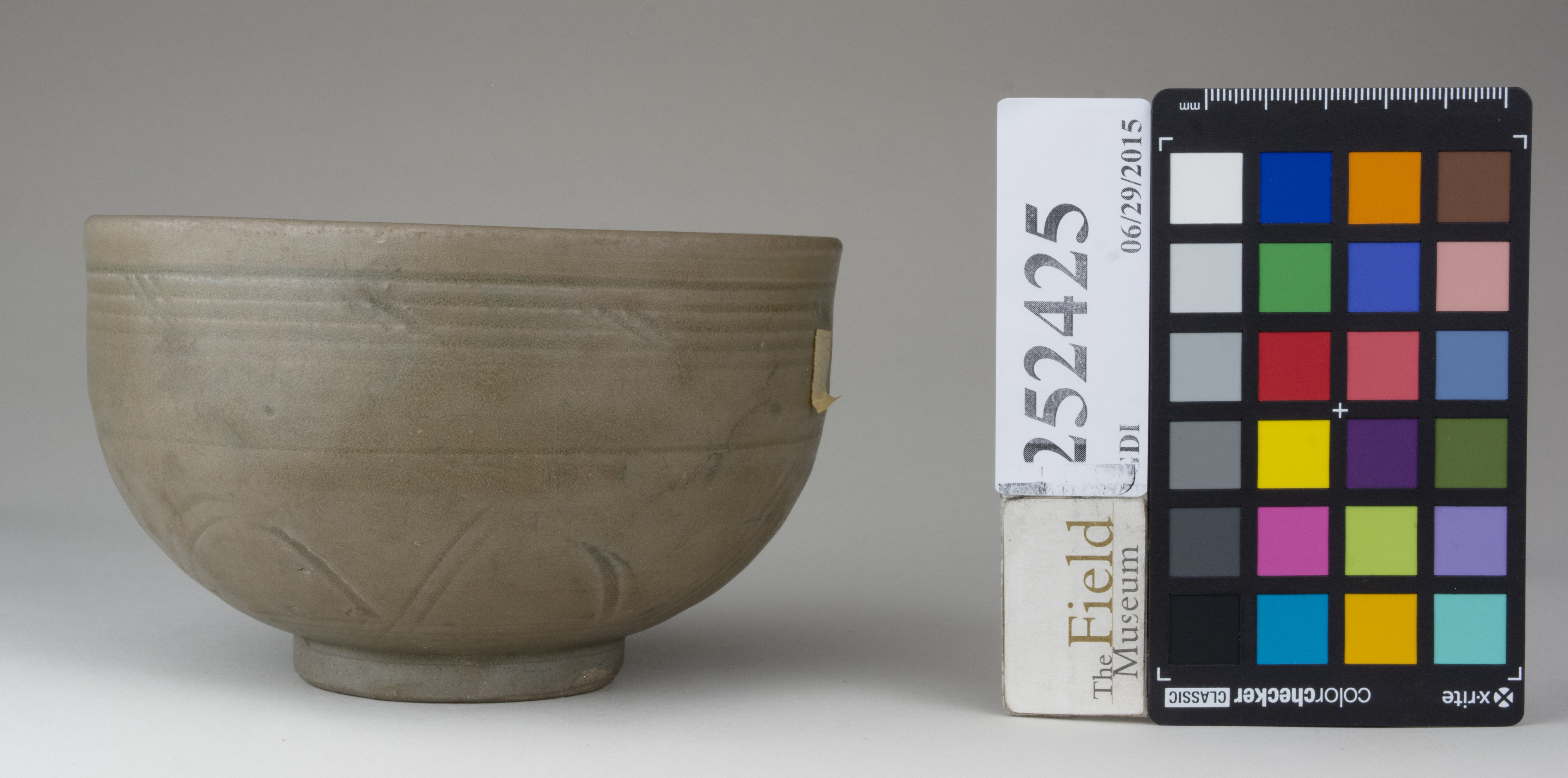 reference image, back 