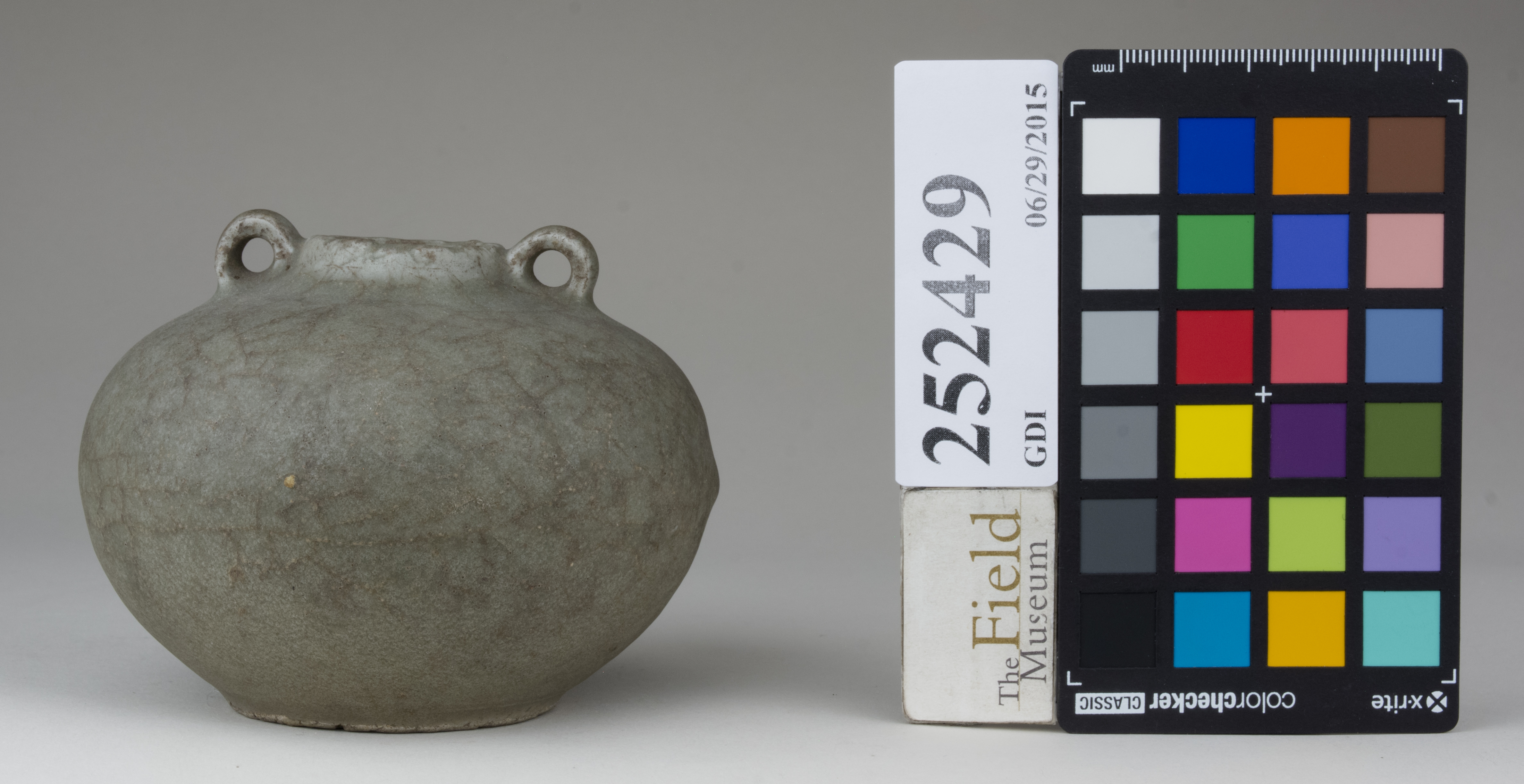 reference image, back 