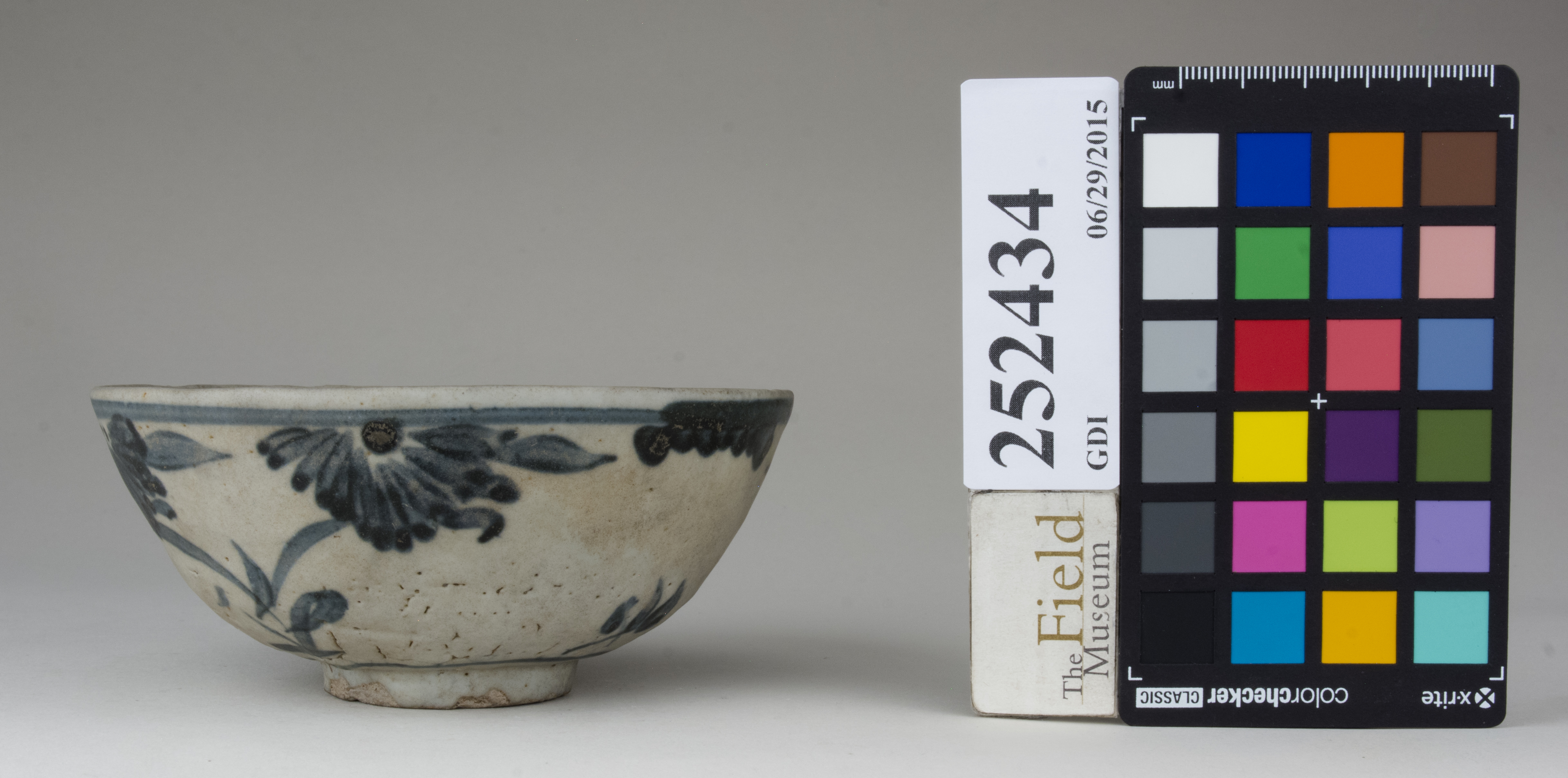 reference image, back 