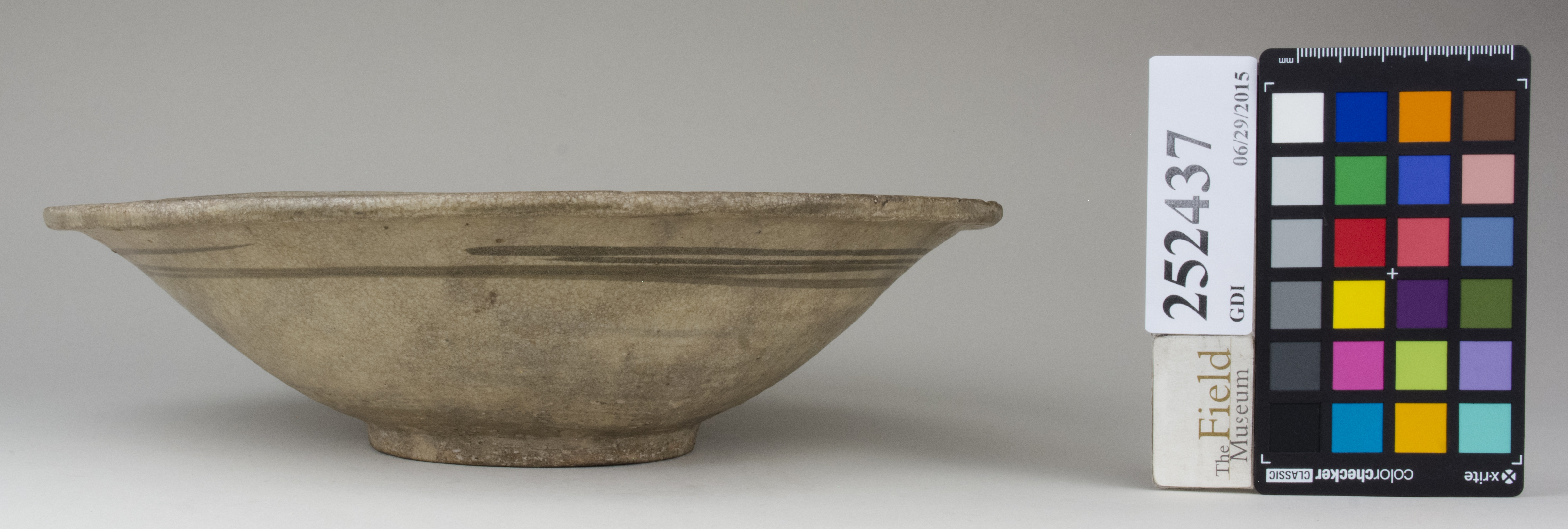 reference image, back 