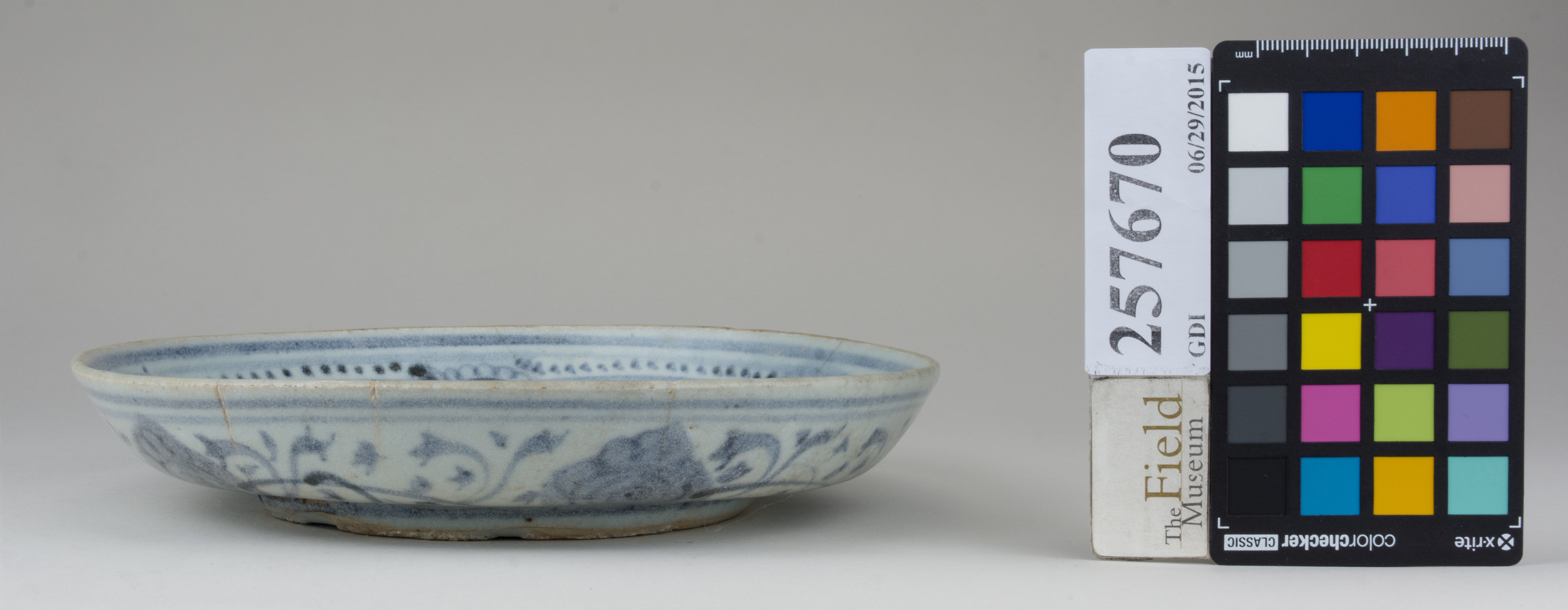 reference image, back 