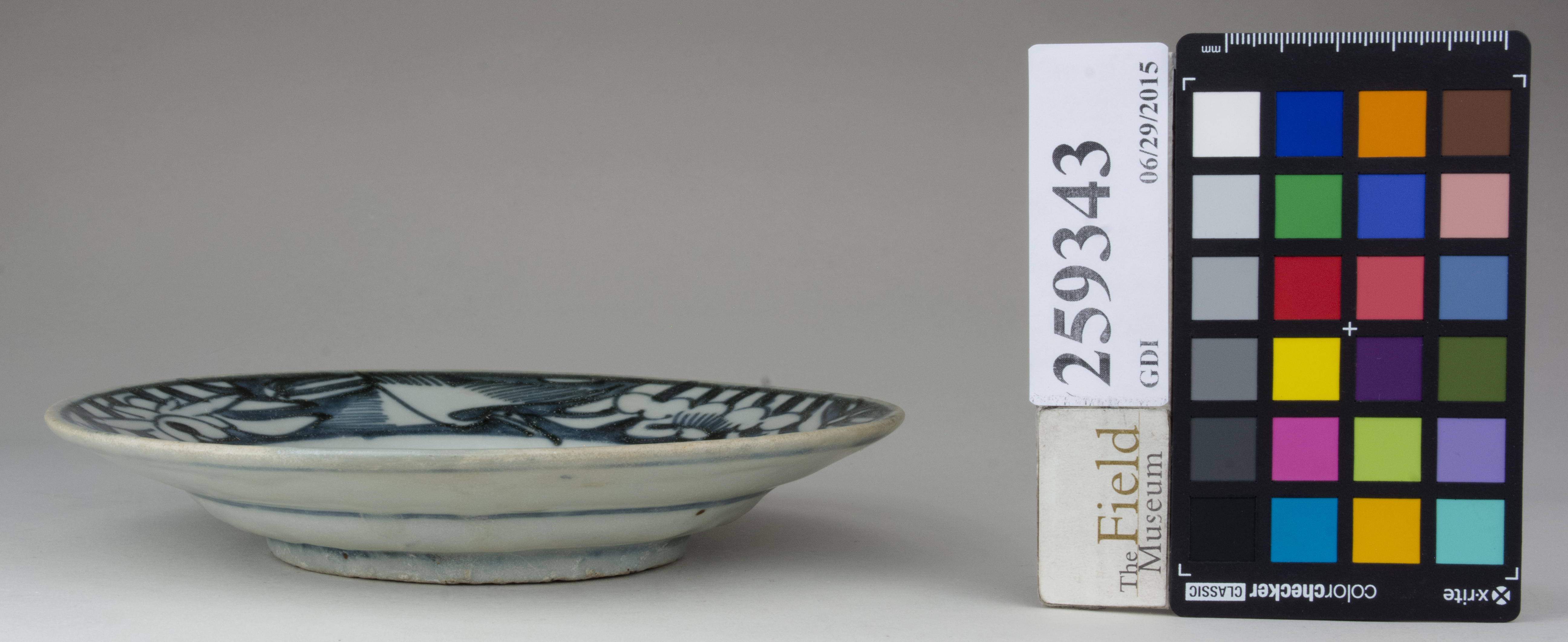 reference image, back 