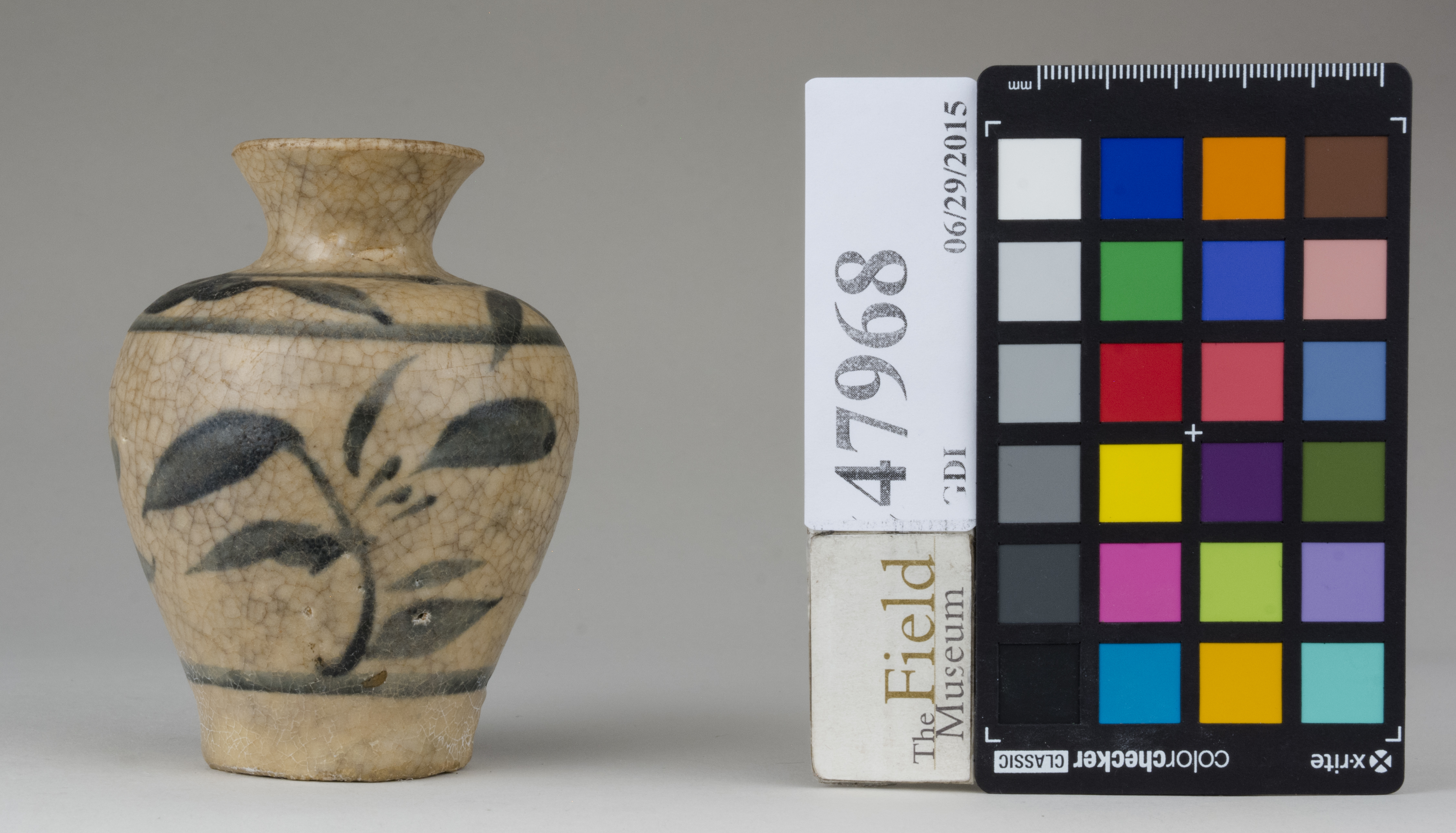 reference image, back 