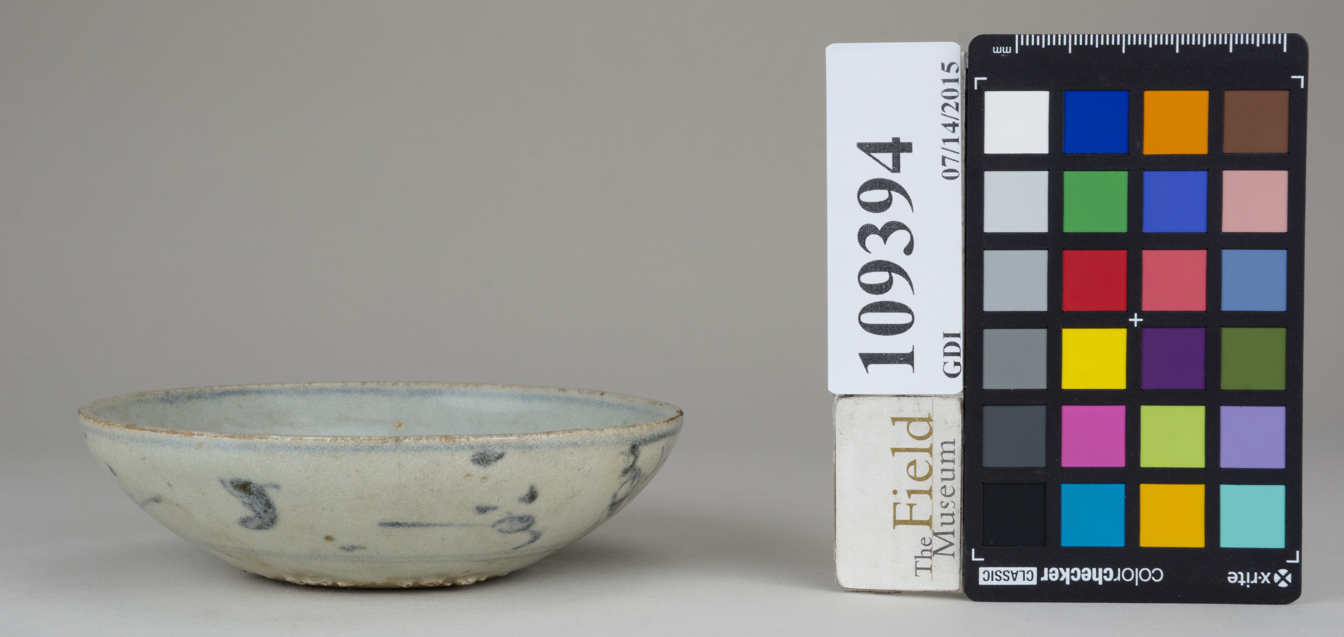 reference image, back 