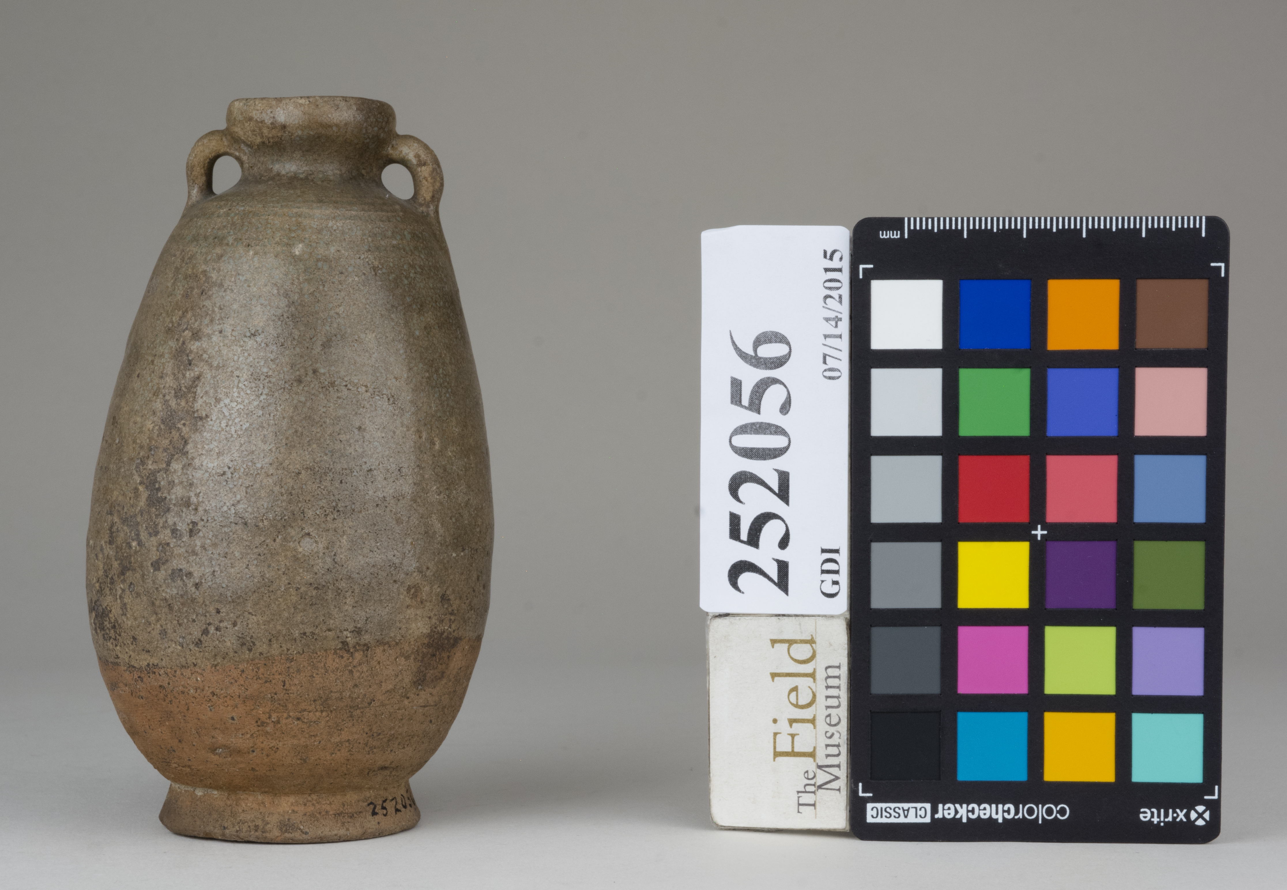 reference image, back 