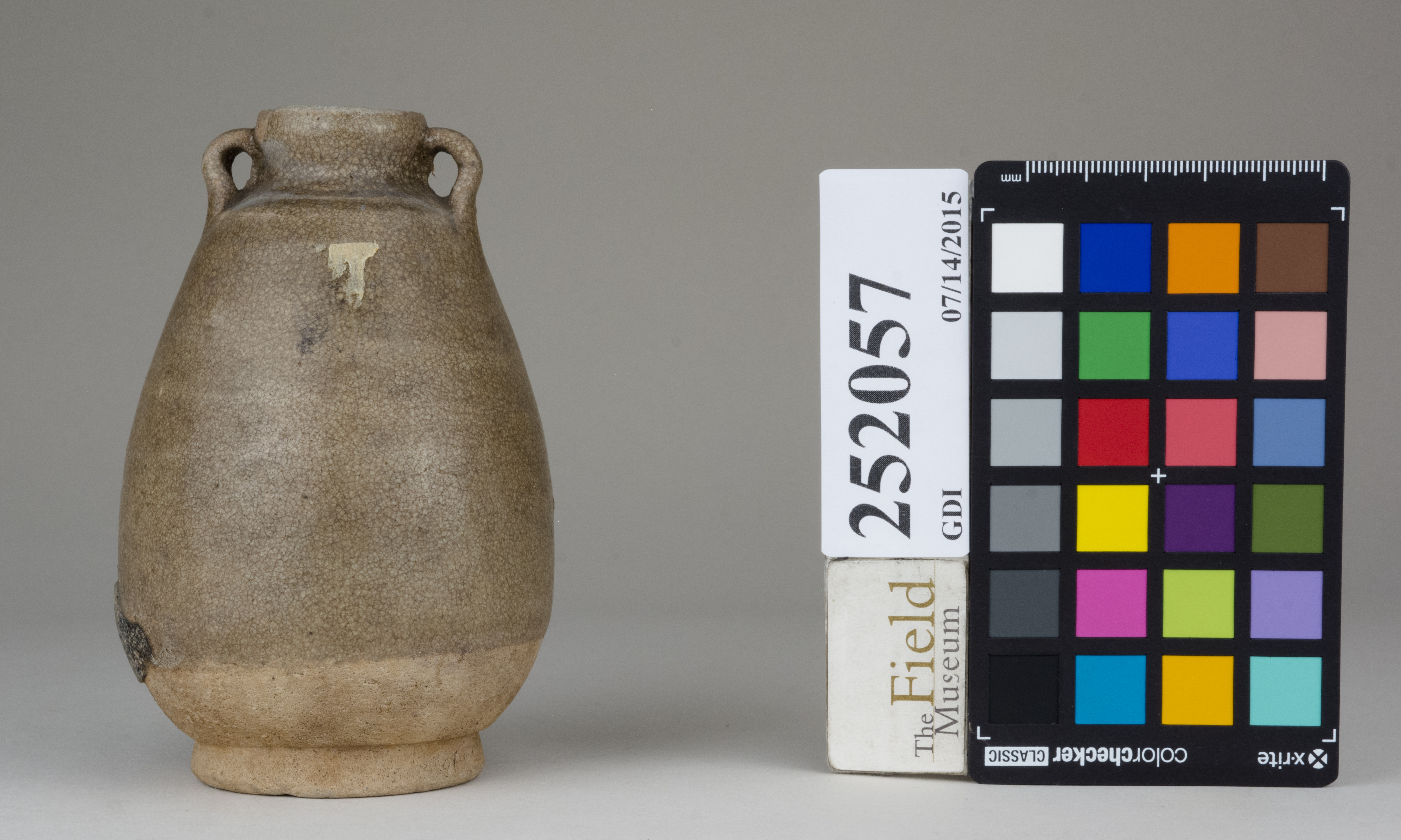 reference image, back 