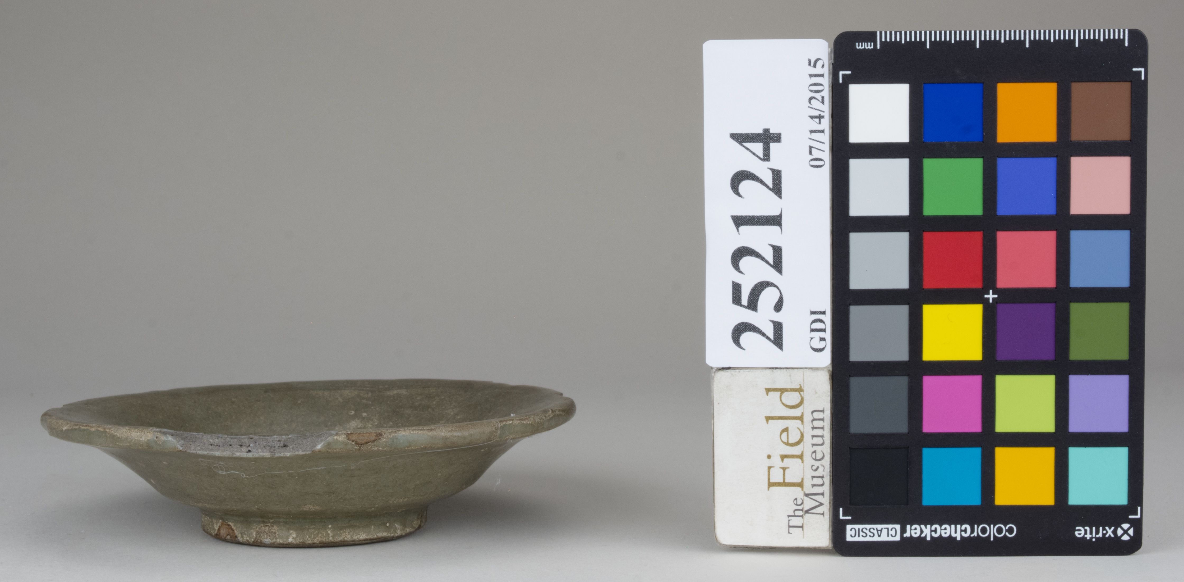 reference image, back 