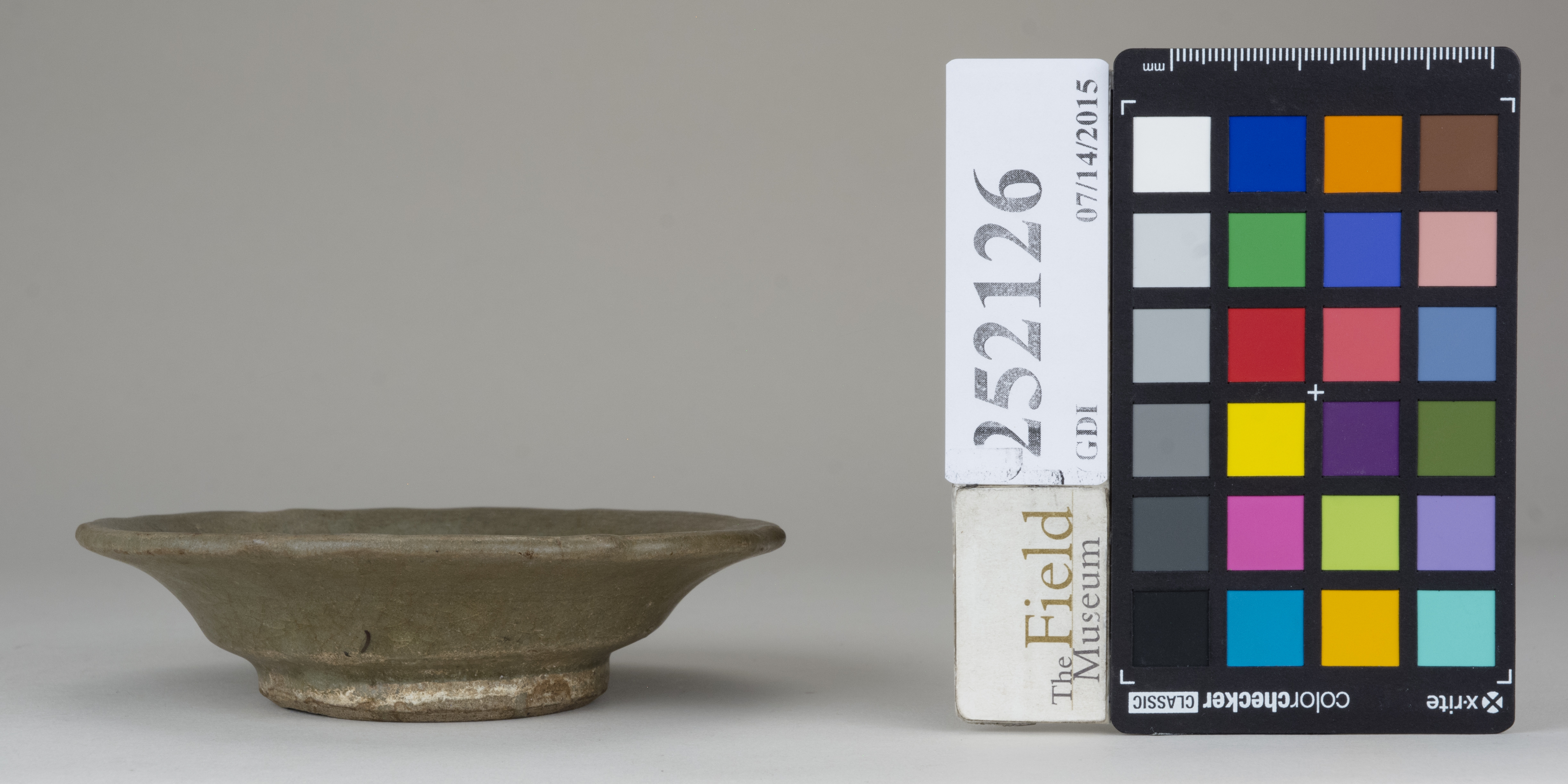 reference image, back 