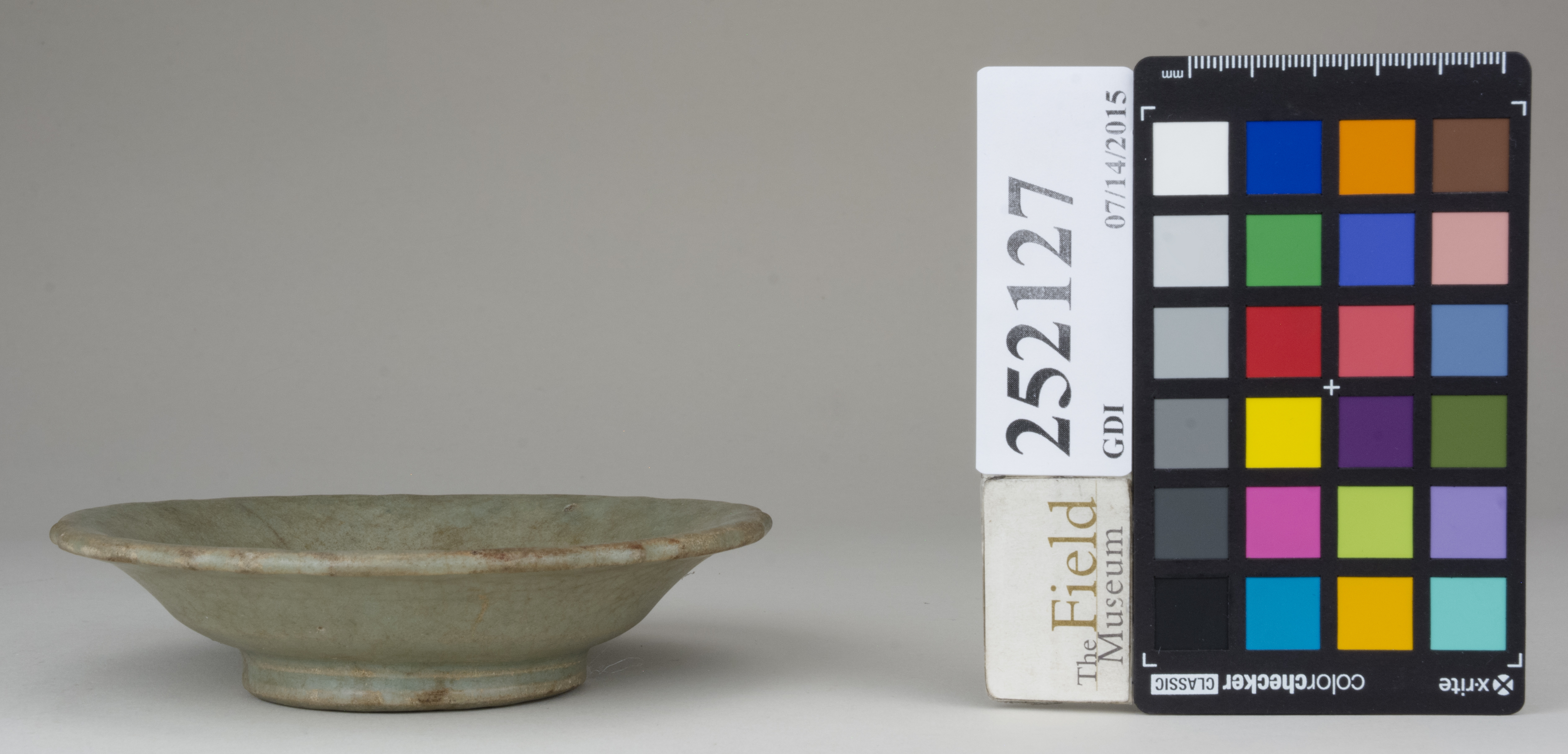 reference image, back 