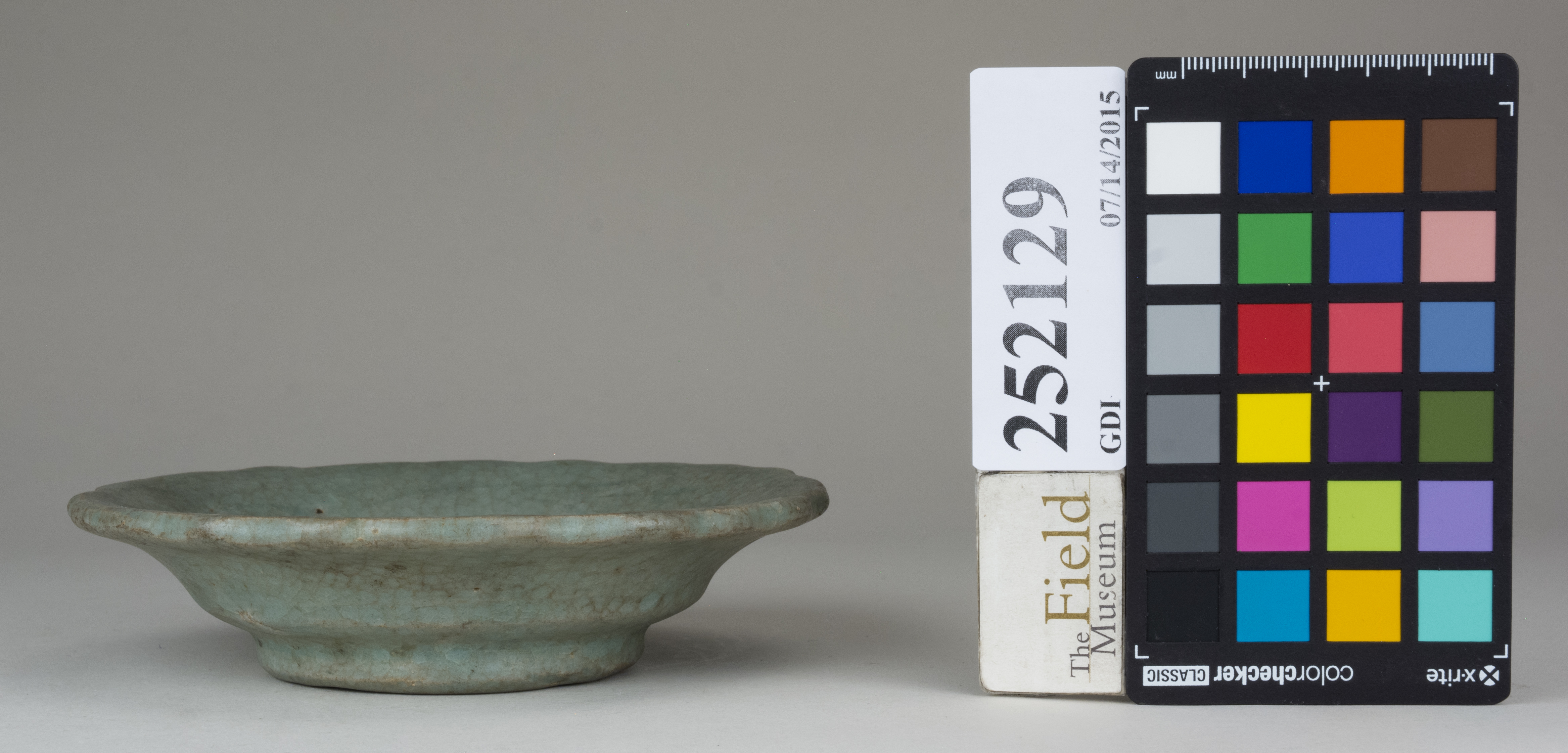 reference image, back 