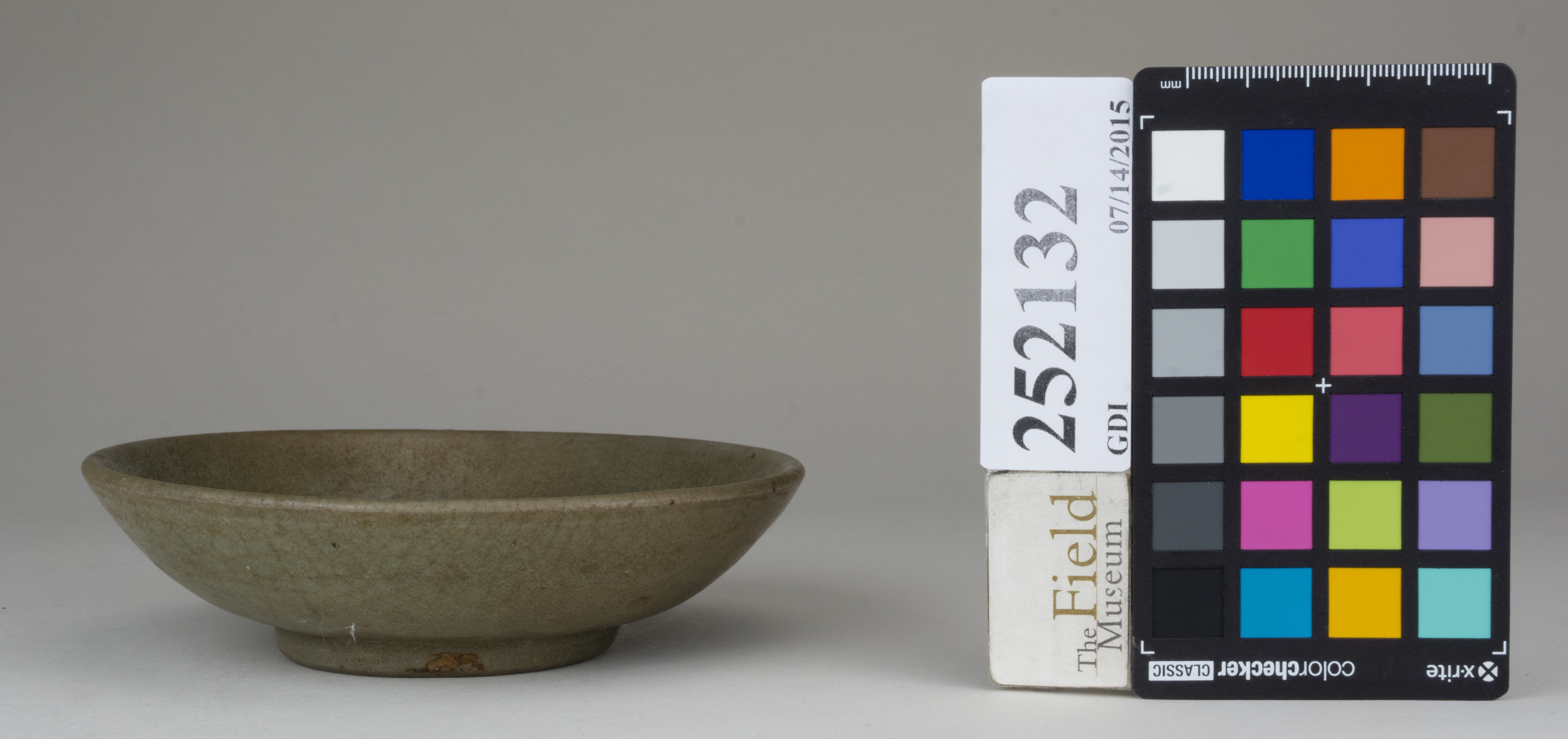 reference image, back 