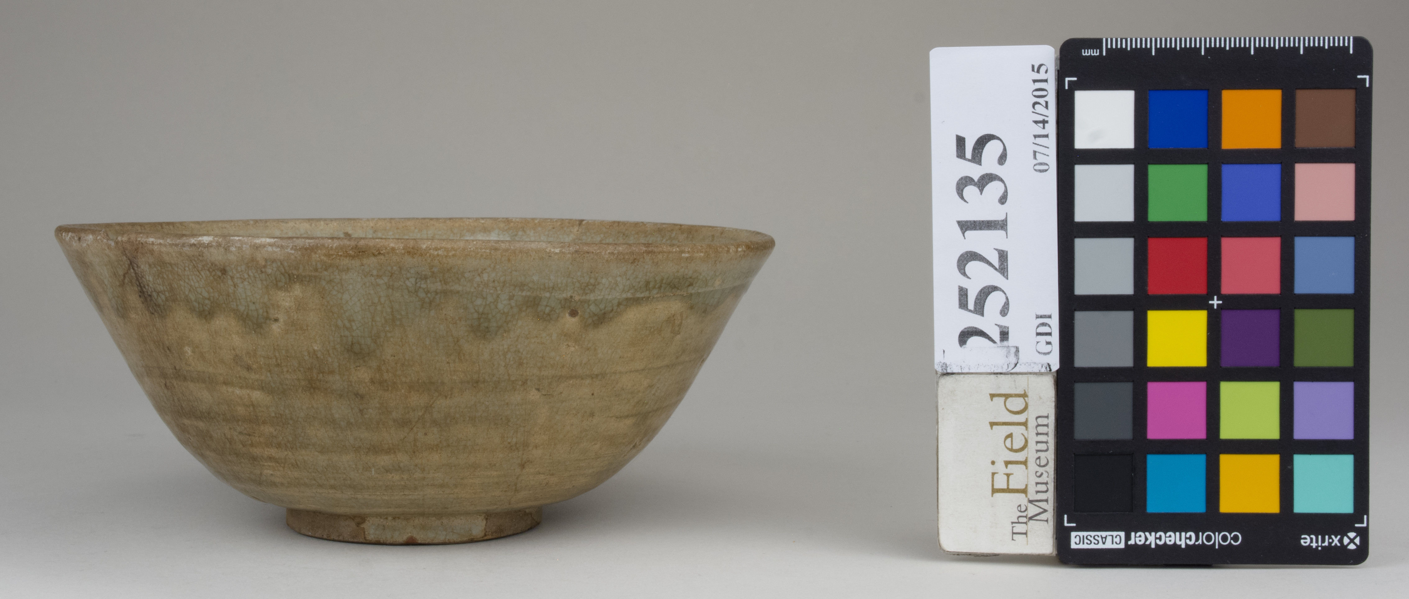 reference image, back 