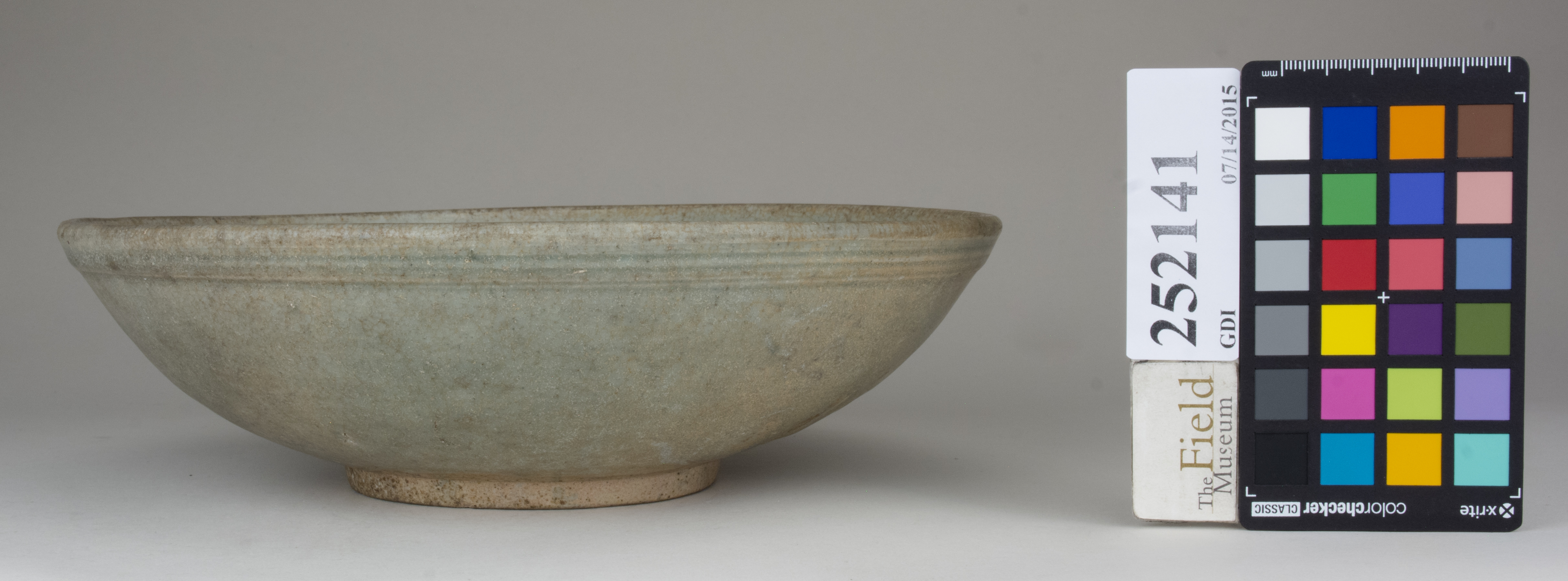 reference image, back 