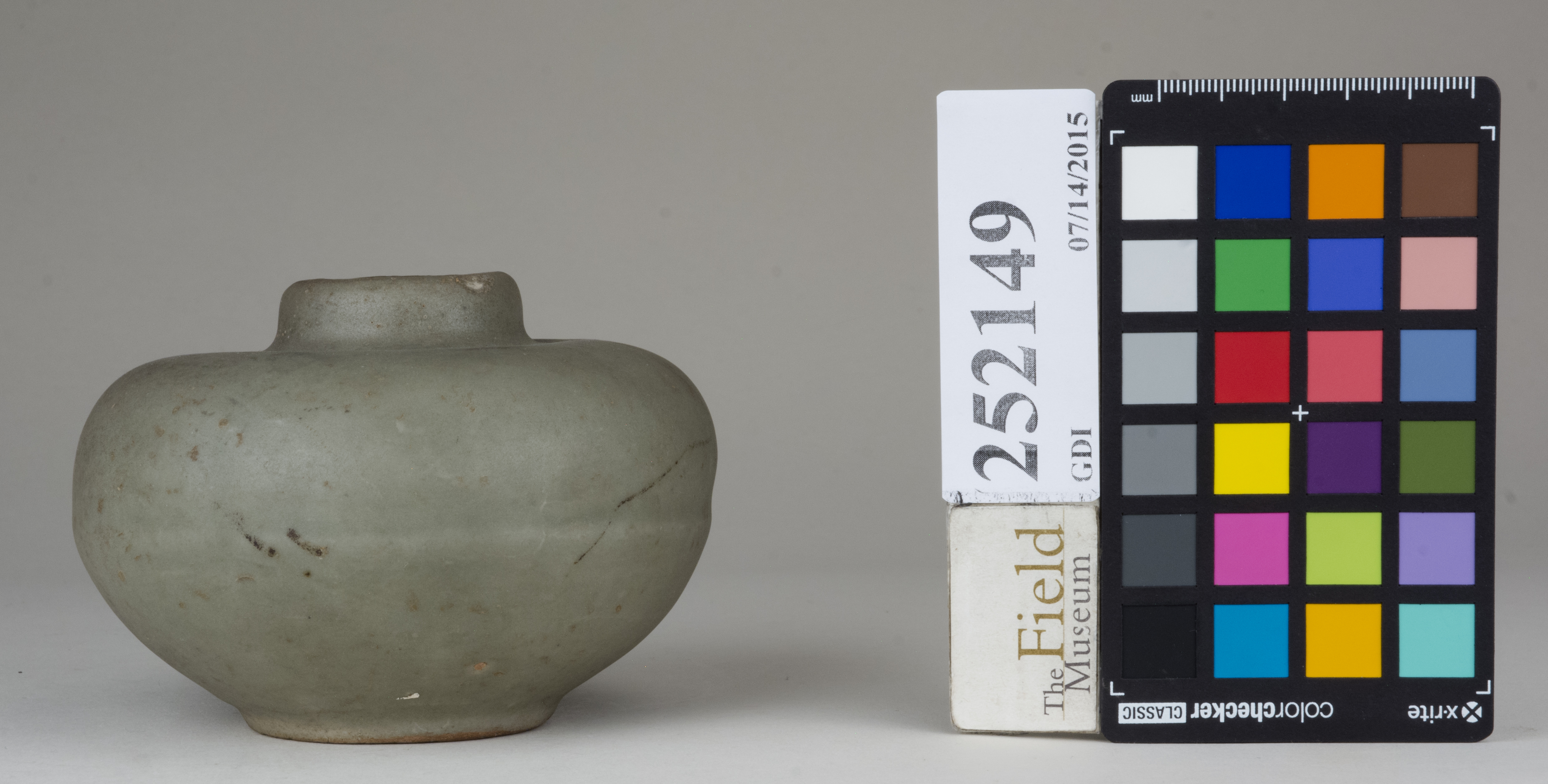 reference image, back 