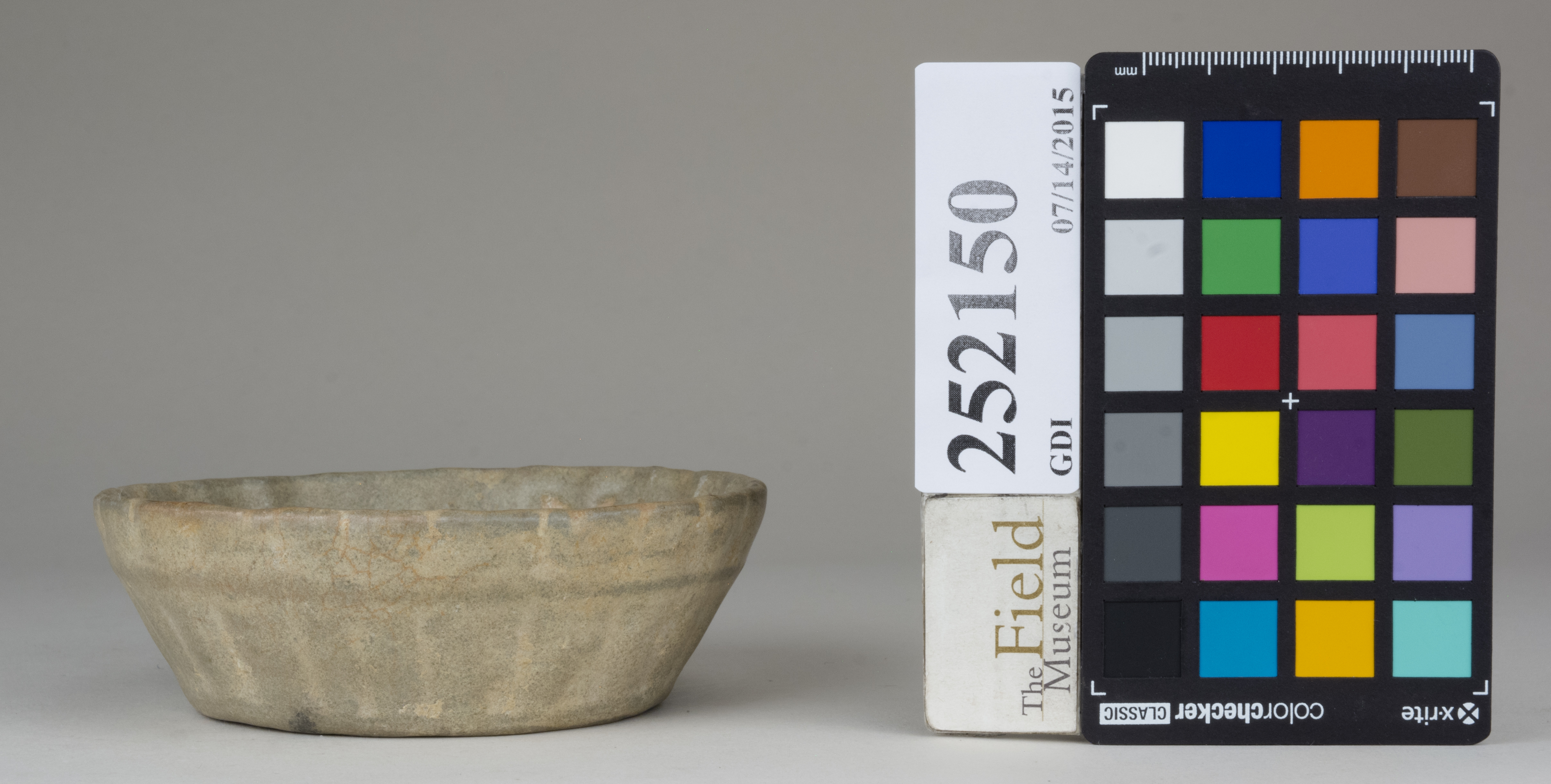 reference image, back 