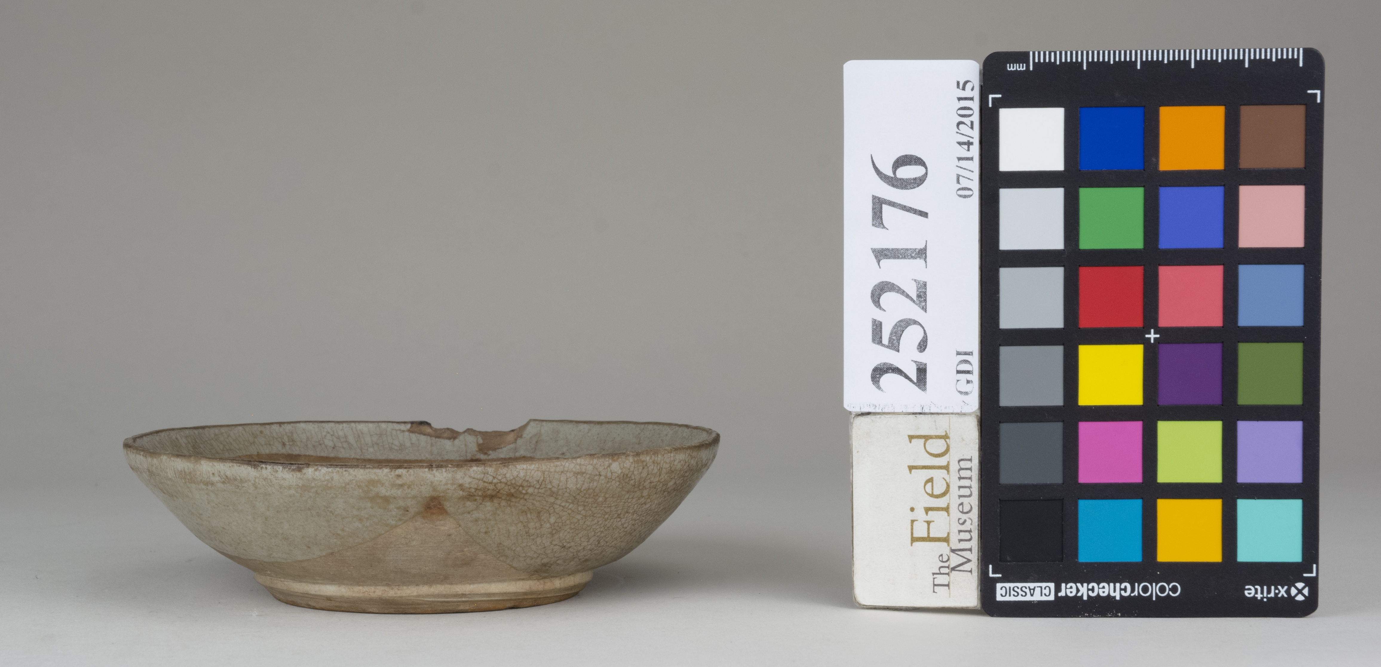 reference image, back 