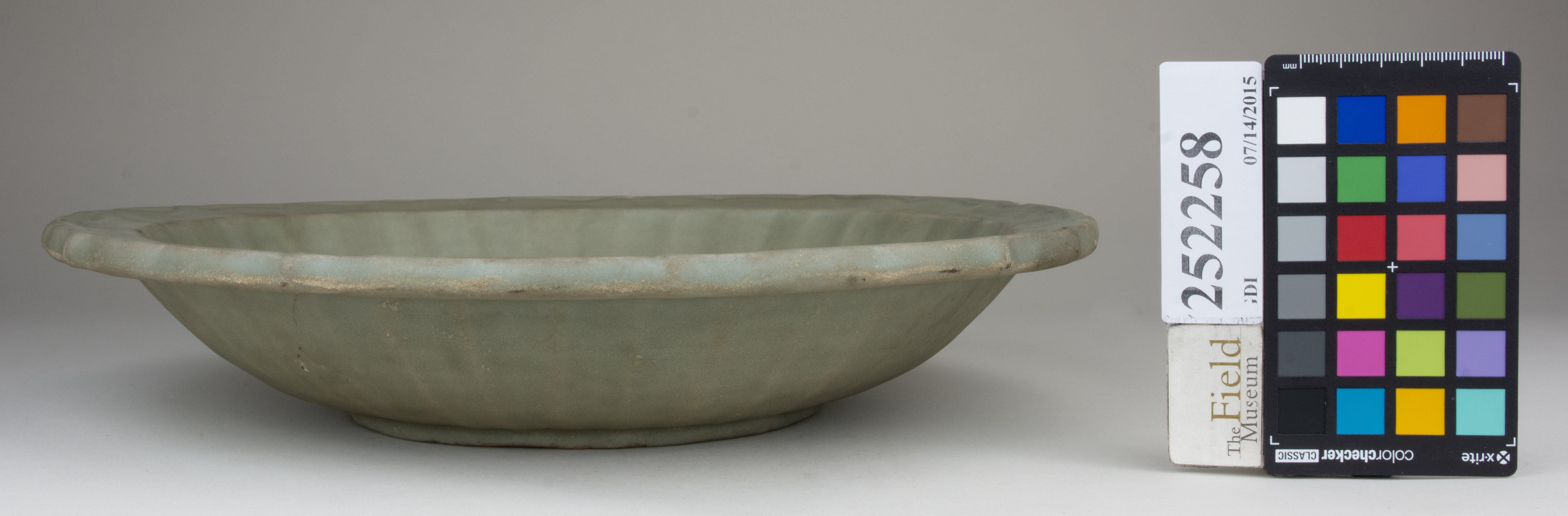 reference image, back 