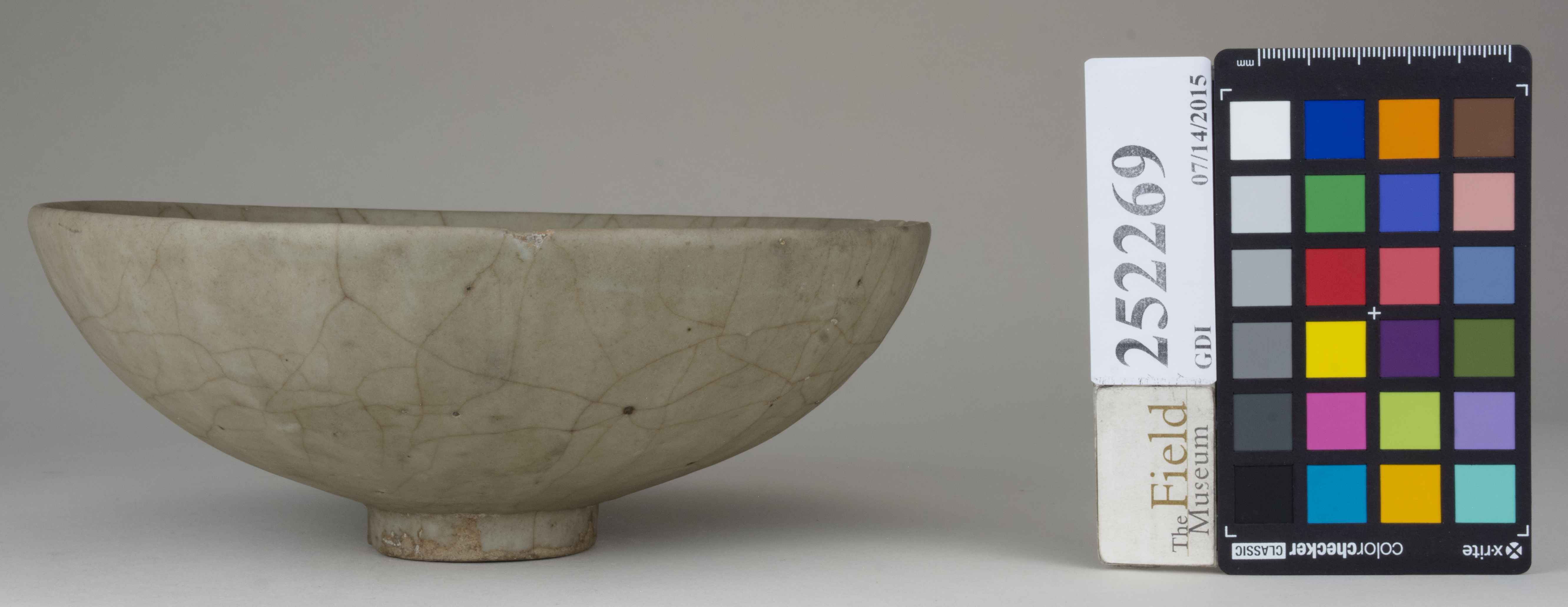 reference image, back 